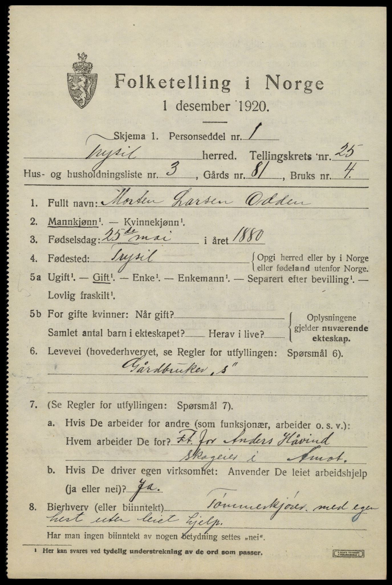 SAH, 1920 census for Trysil, 1920, p. 15713