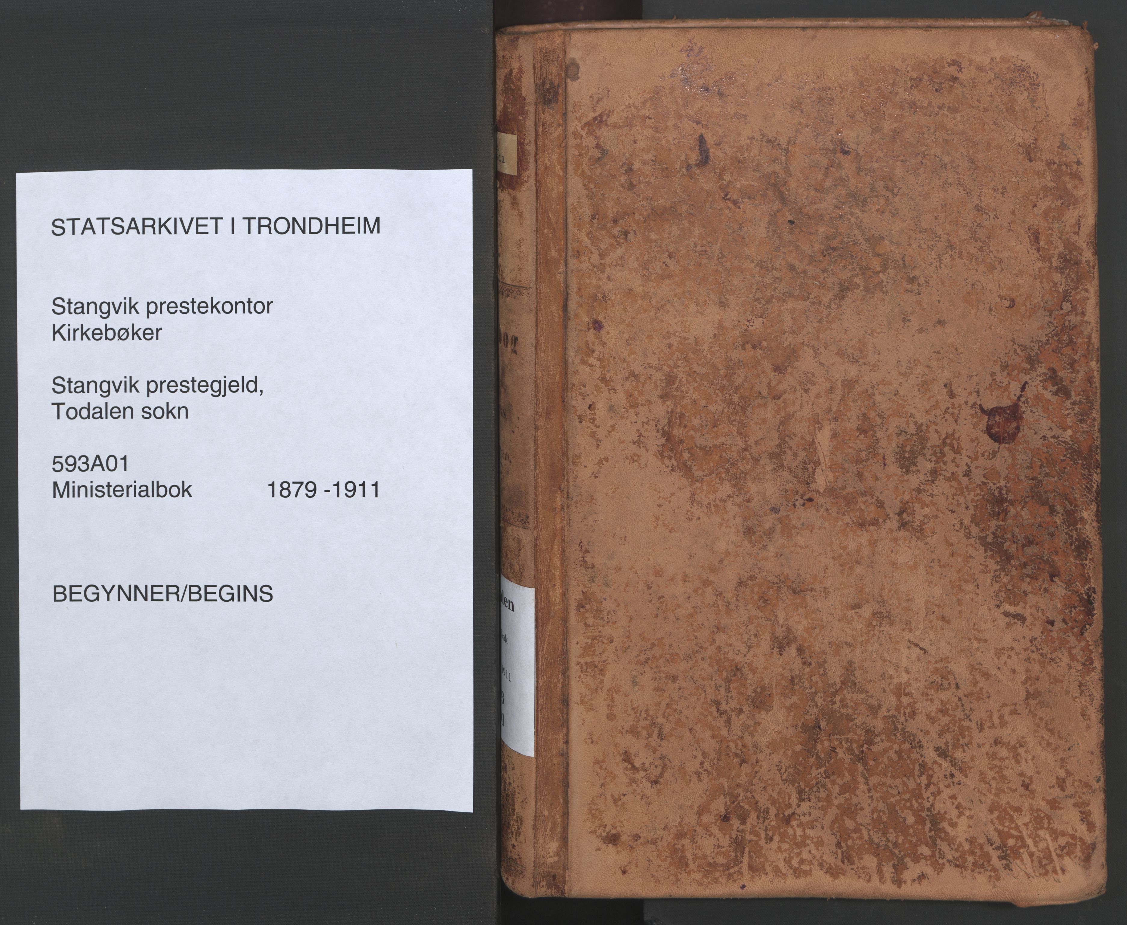 Ministerialprotokoller, klokkerbøker og fødselsregistre - Møre og Romsdal, AV/SAT-A-1454/593/L1034: Parish register (official) no. 593A01, 1879-1911