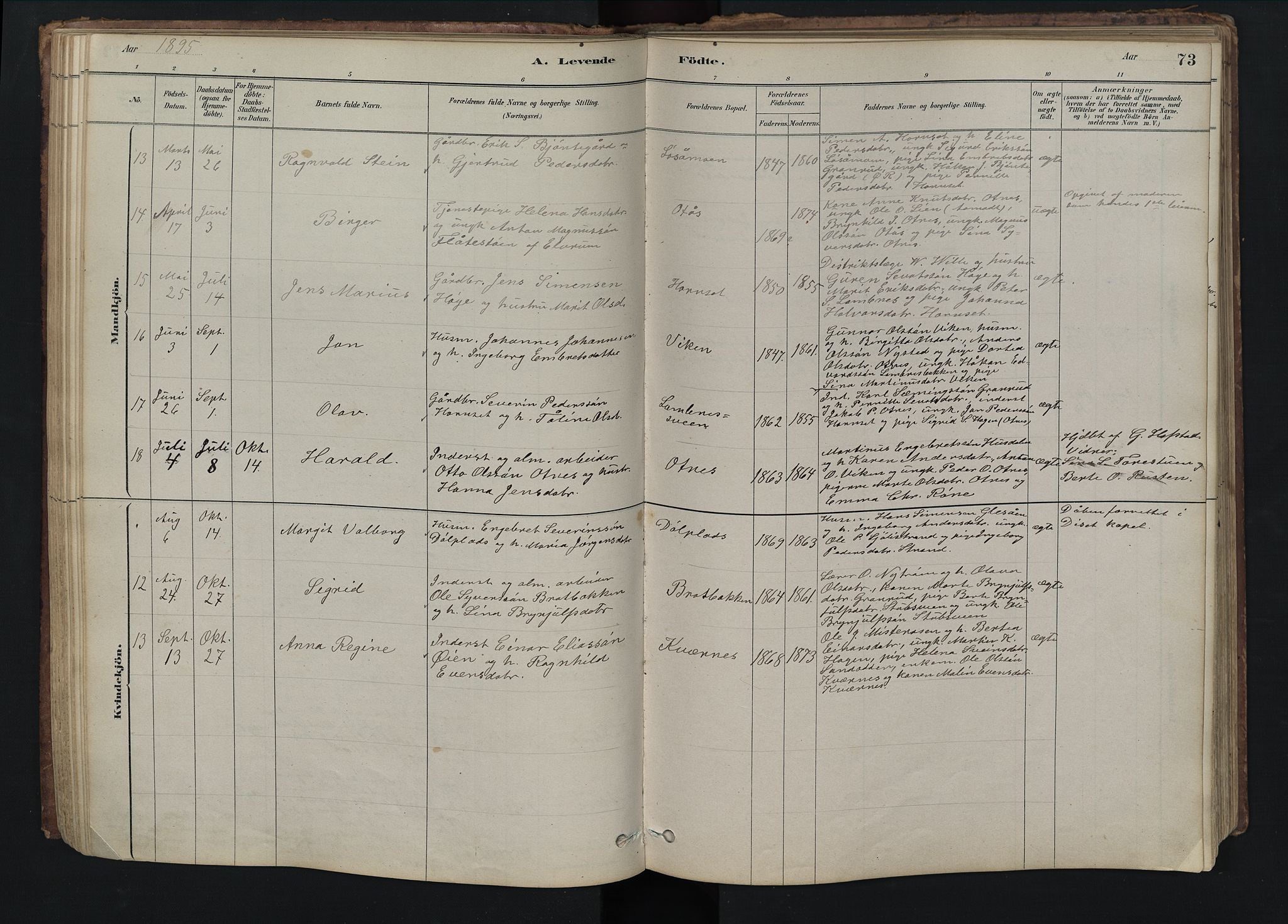 Rendalen prestekontor, SAH/PREST-054/H/Ha/Hab/L0009: Parish register (copy) no. 9, 1879-1902, p. 73