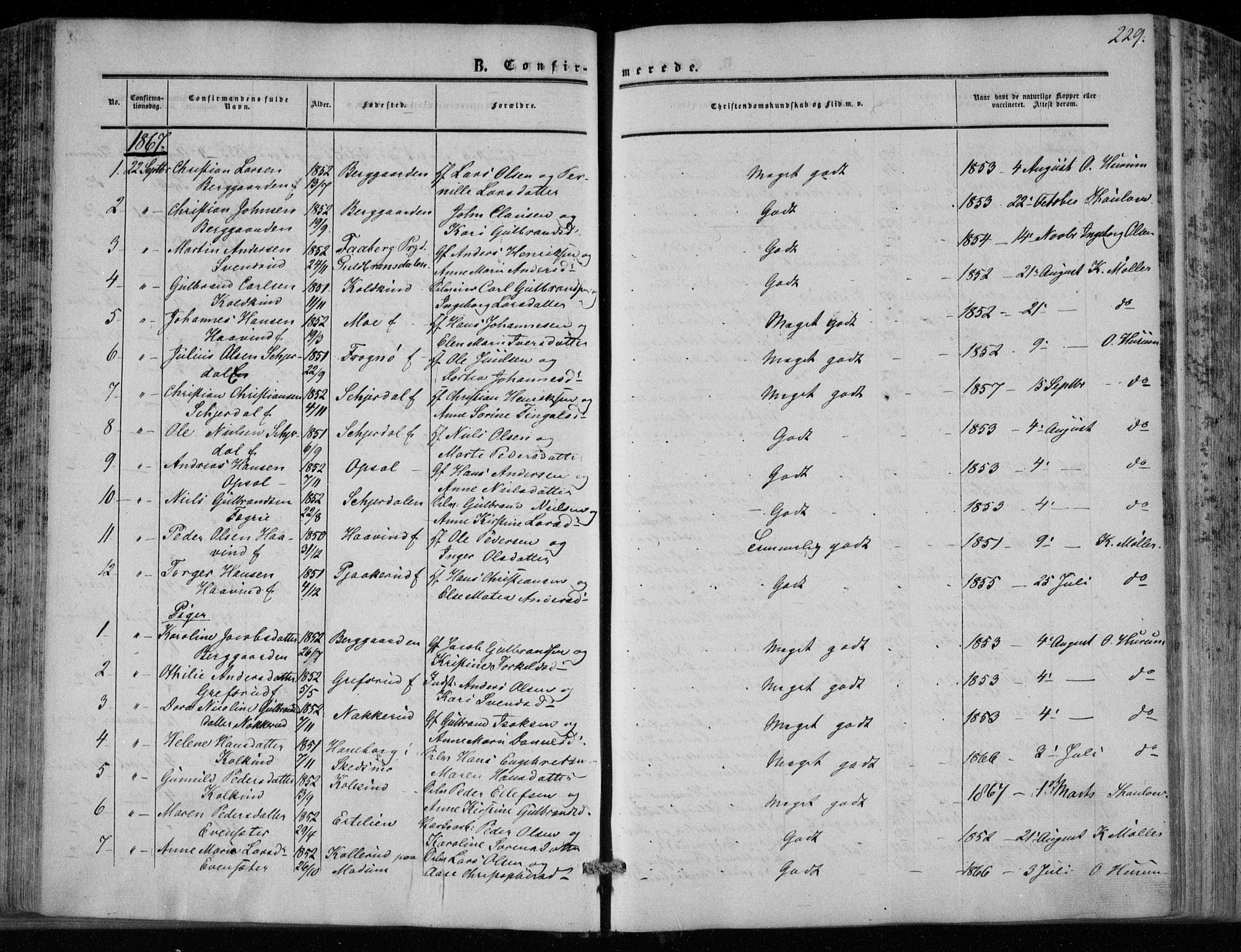 Hole kirkebøker, SAKO/A-228/F/Fa/L0006: Parish register (official) no. I 6, 1852-1872, p. 229