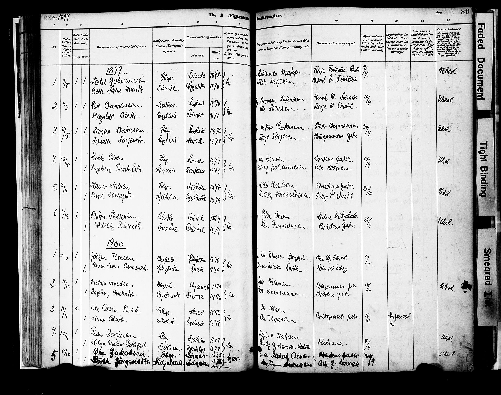 Sirdal sokneprestkontor, SAK/1111-0036/F/Fa/Faa/L0001: Parish register (official) no. A 1, 1887-1910, p. 89