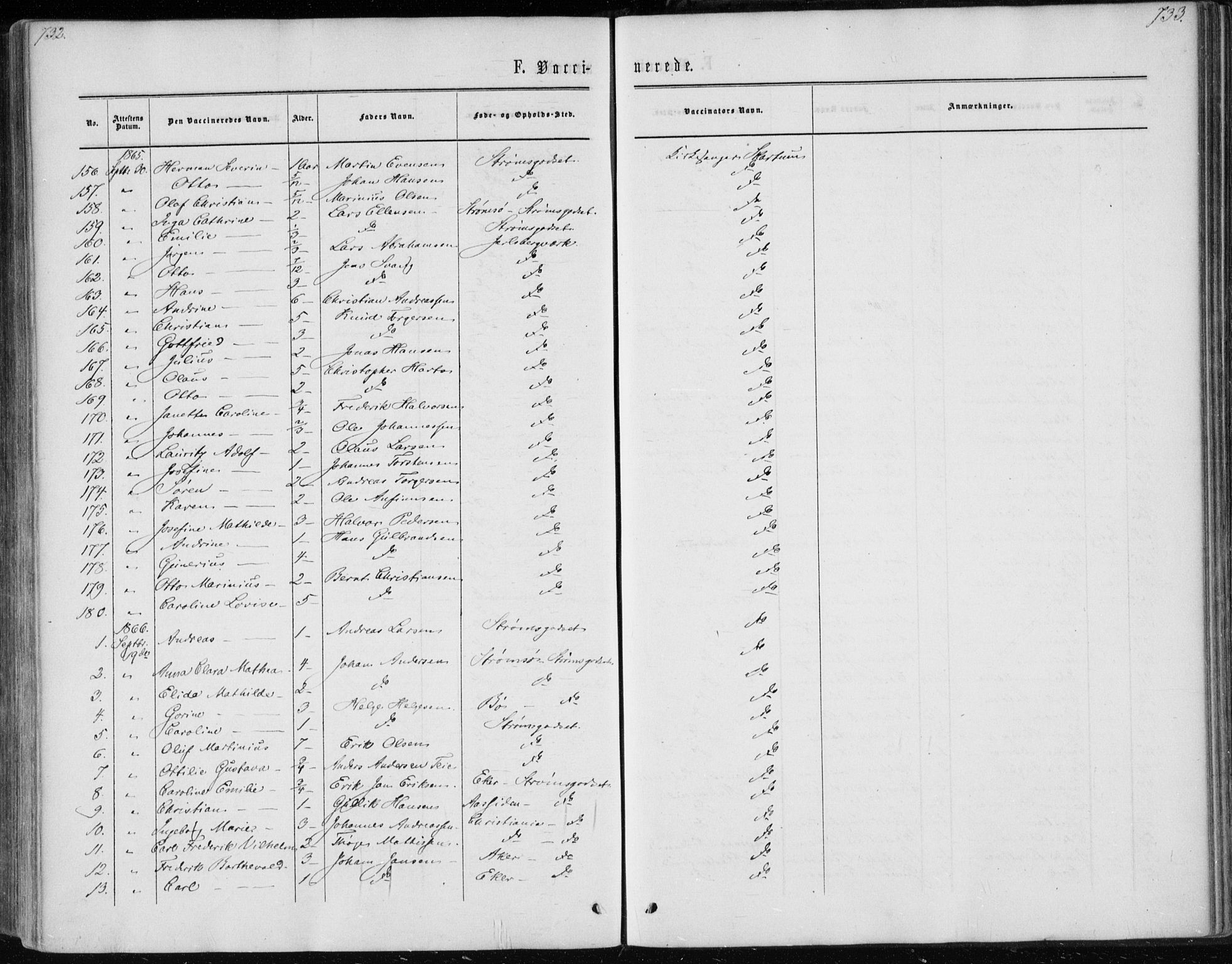 Skoger kirkebøker, AV/SAKO-A-59/F/Fa/L0004: Parish register (official) no. I 4, 1862-1872, p. 732-733