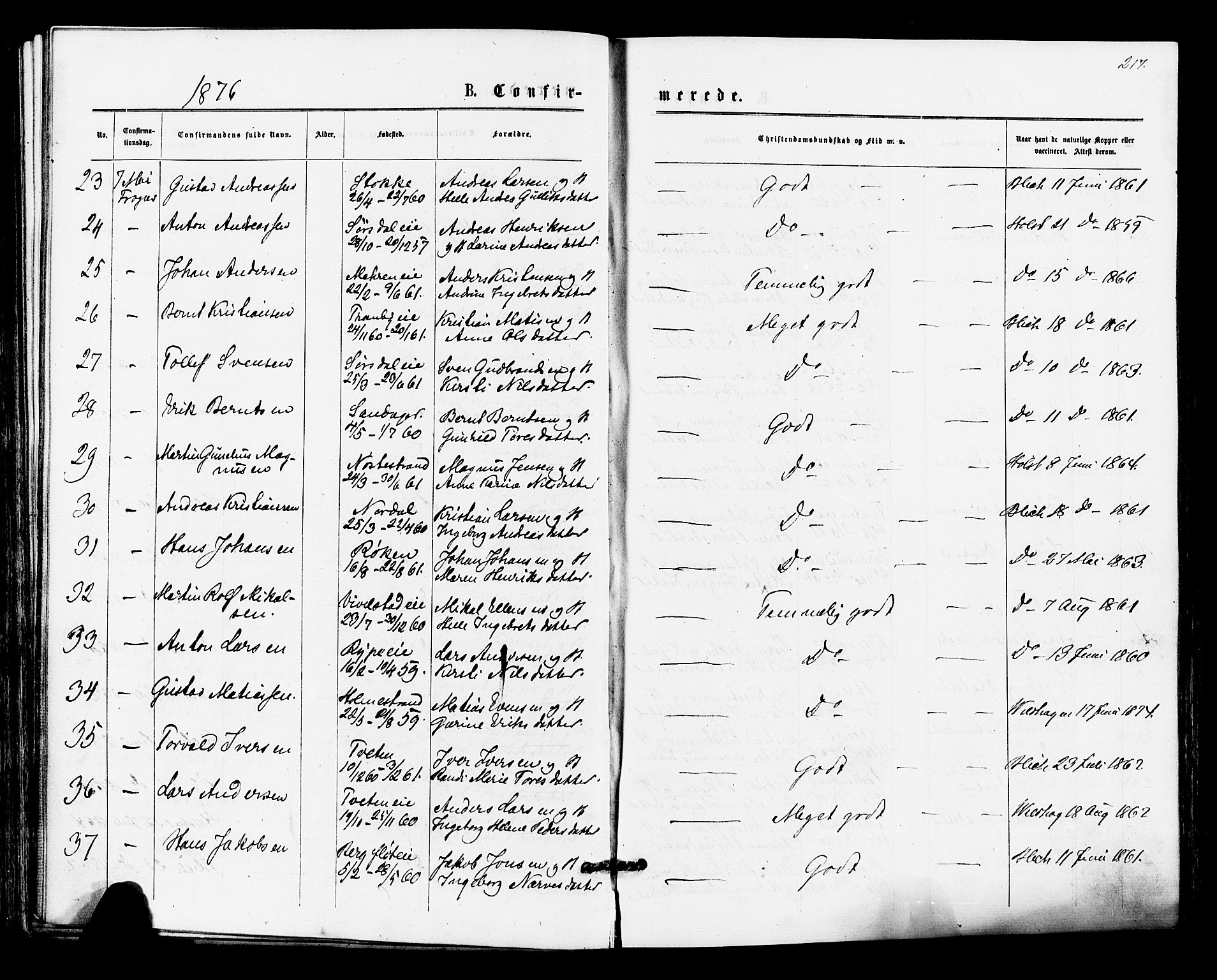 Lier kirkebøker, AV/SAKO-A-230/F/Fa/L0014: Parish register (official) no. I 14, 1875-1882, p. 217