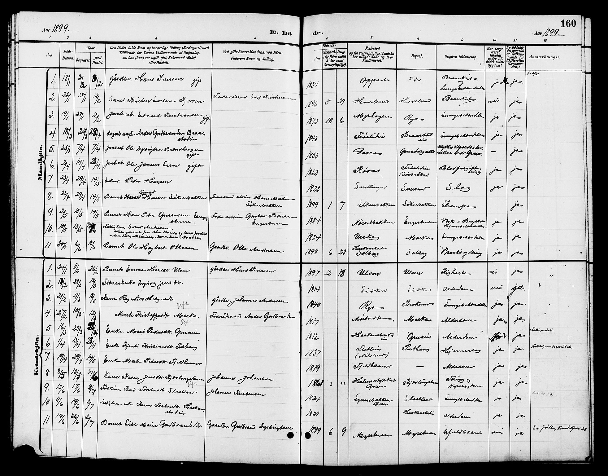 Jevnaker prestekontor, SAH/PREST-116/H/Ha/Hab/L0003: Parish register (copy) no. 3, 1896-1909, p. 160