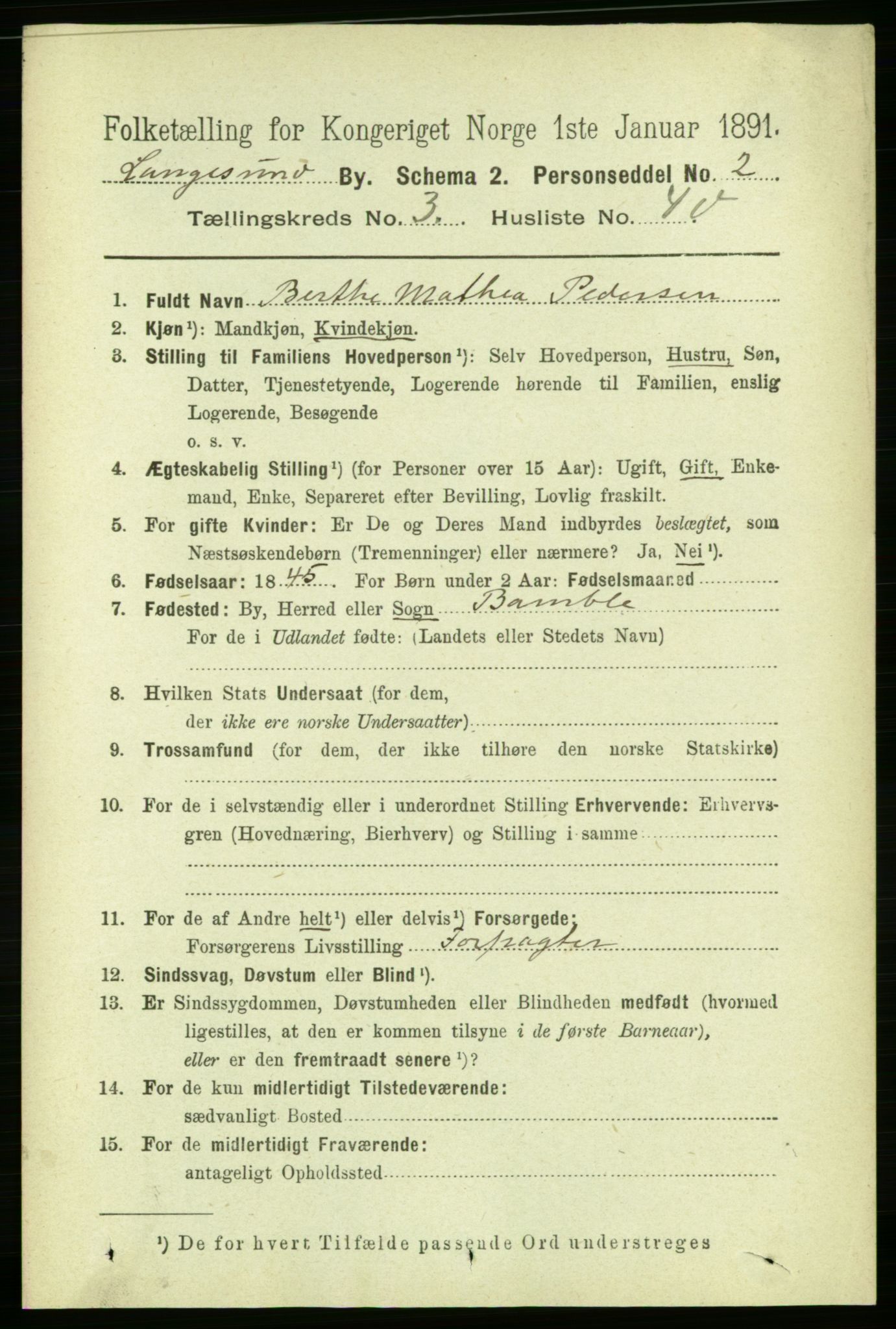 RA, 1891 census for 0802 Langesund, 1891, p. 1143