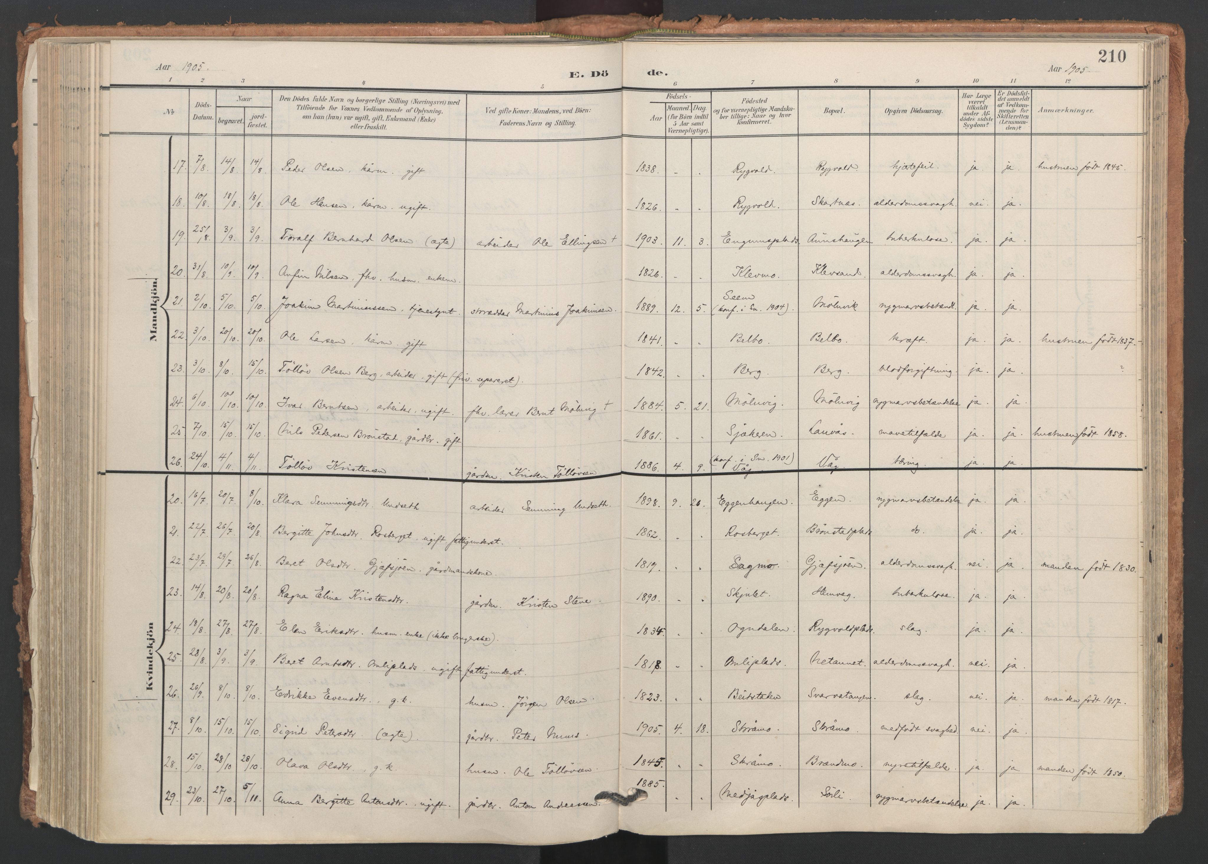 Ministerialprotokoller, klokkerbøker og fødselsregistre - Nord-Trøndelag, AV/SAT-A-1458/749/L0477: Parish register (official) no. 749A11, 1902-1927, p. 210