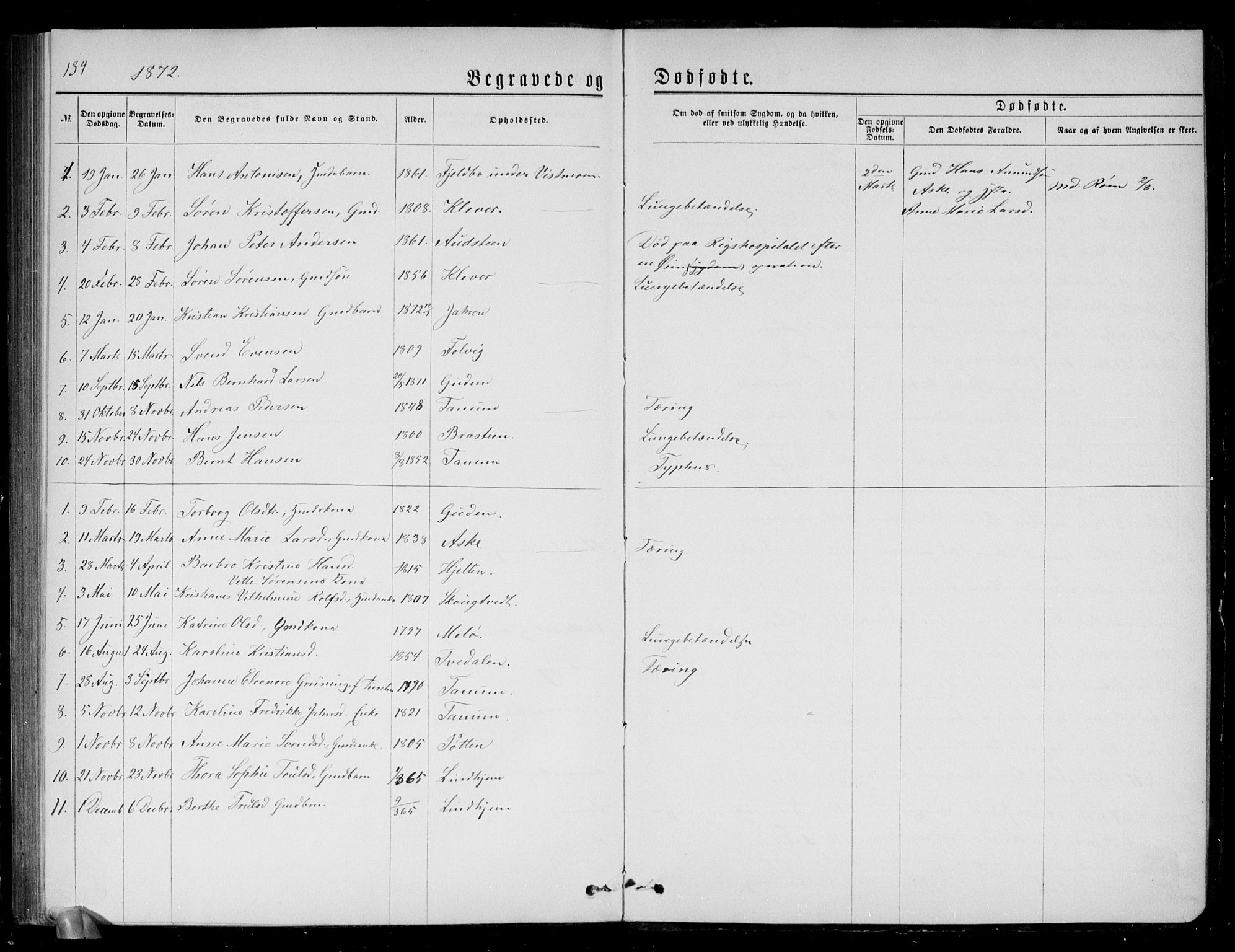 Brunlanes kirkebøker, SAKO/A-342/G/Ga/L0002: Parish register (copy) no. I 2, 1866-1876, p. 134