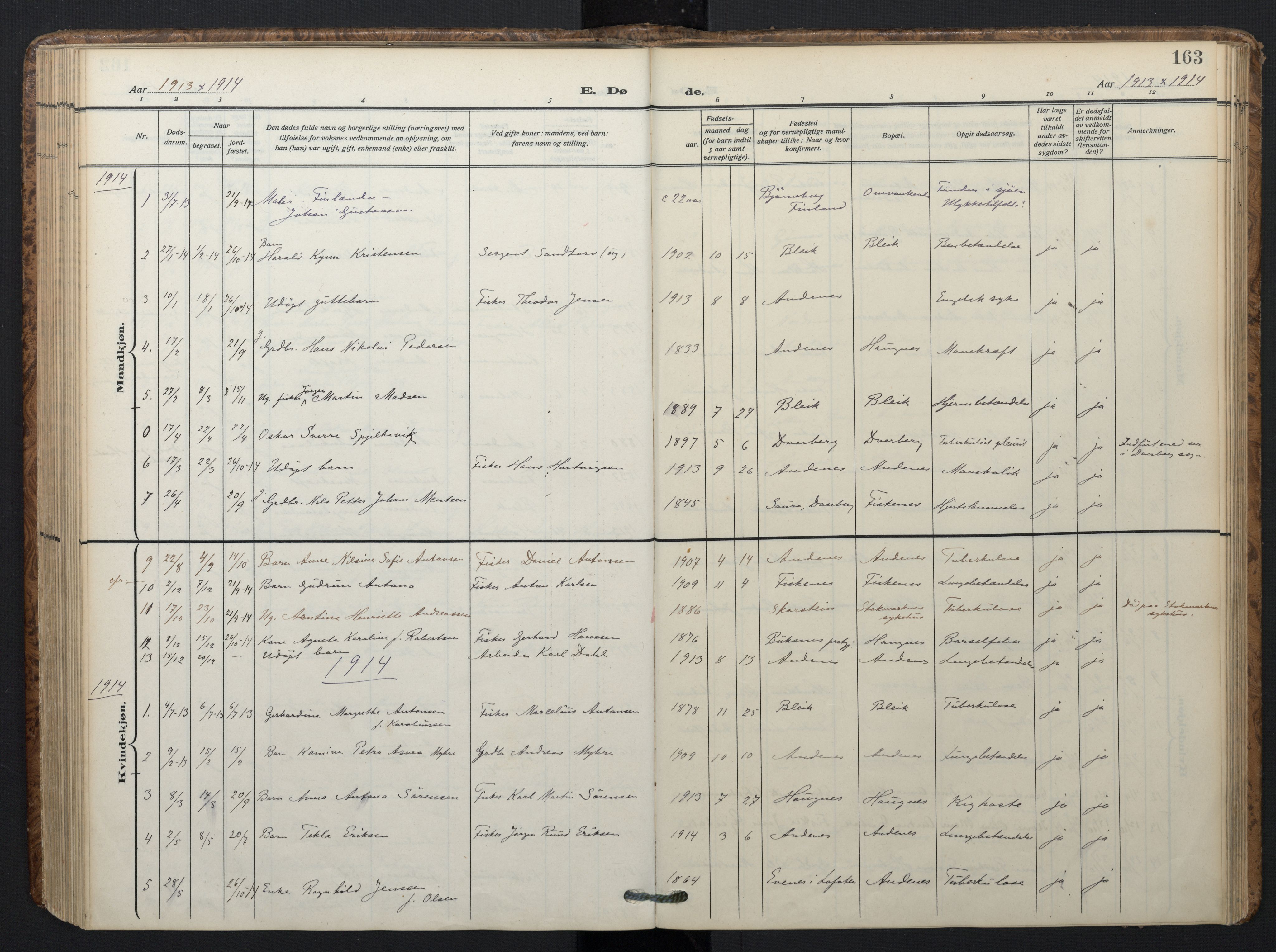 Ministerialprotokoller, klokkerbøker og fødselsregistre - Nordland, SAT/A-1459/899/L1438: Parish register (official) no. 899A06, 1909-1922, p. 163