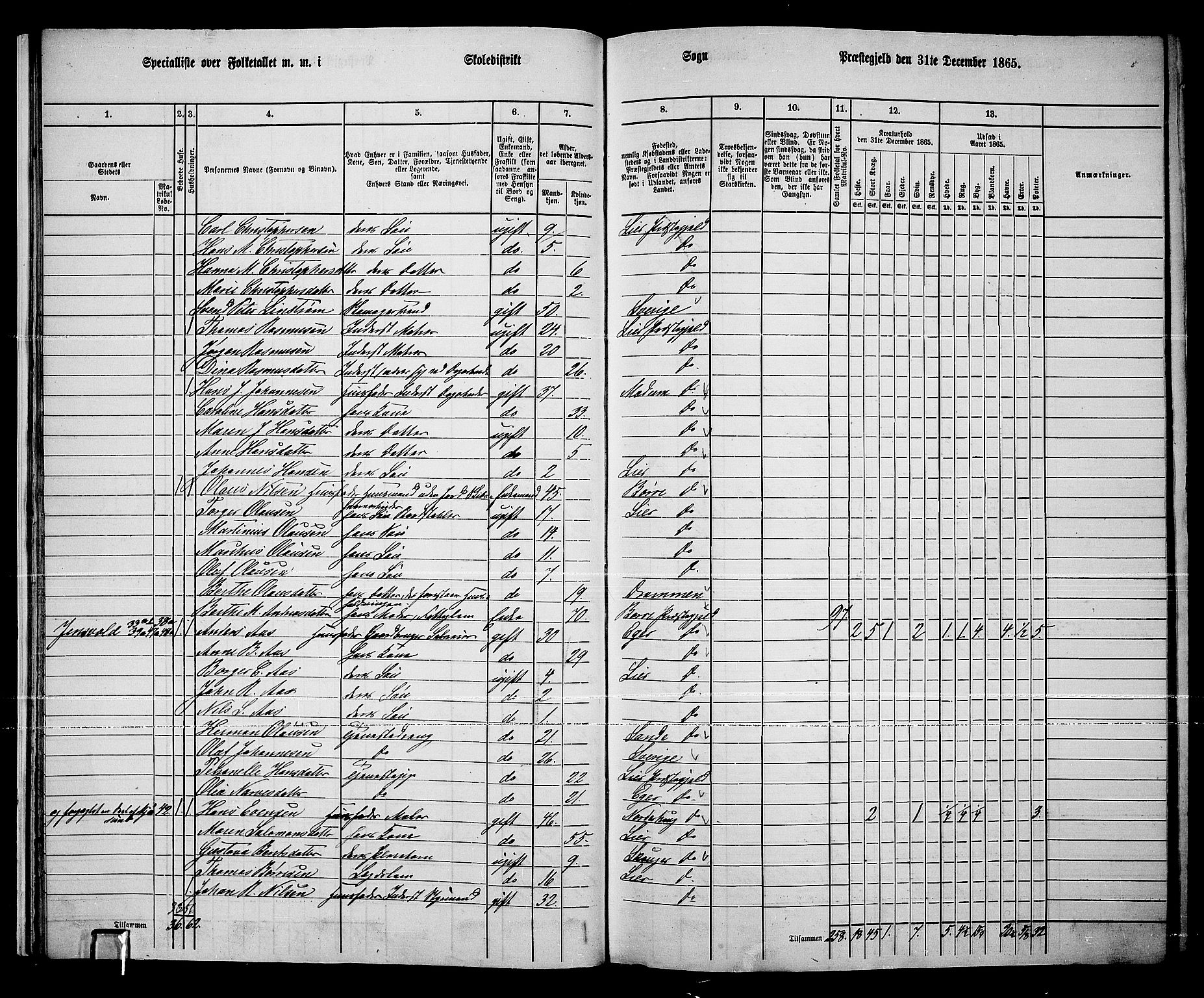 RA, 1865 census for Lier, 1865, p. 24