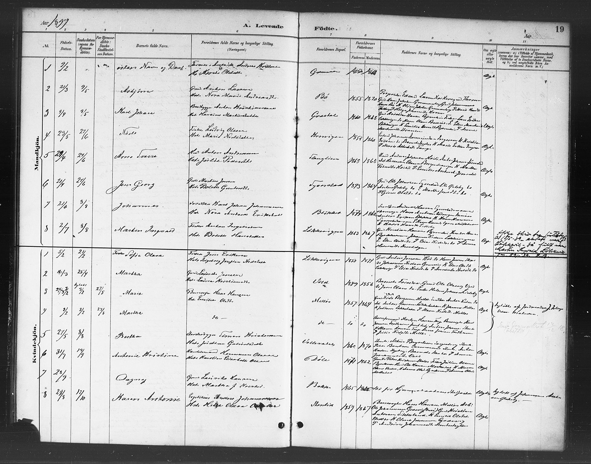 Skjeberg prestekontor Kirkebøker, AV/SAO-A-10923/F/Fc/L0001: Parish register (official) no. III 1, 1886-1897, p. 19