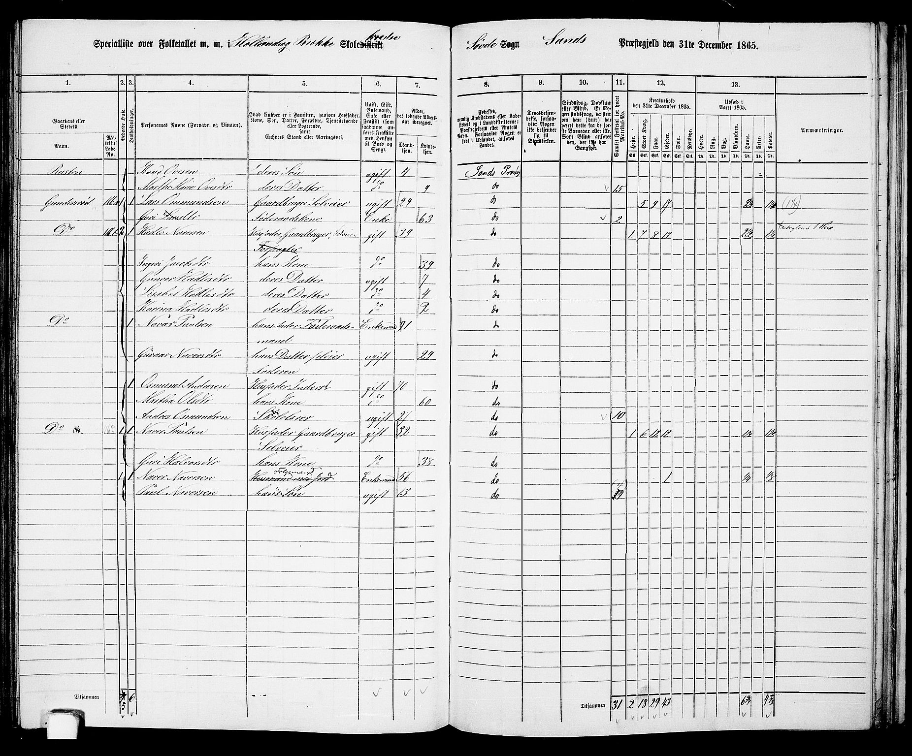 RA, 1865 census for Sand, 1865, p. 126