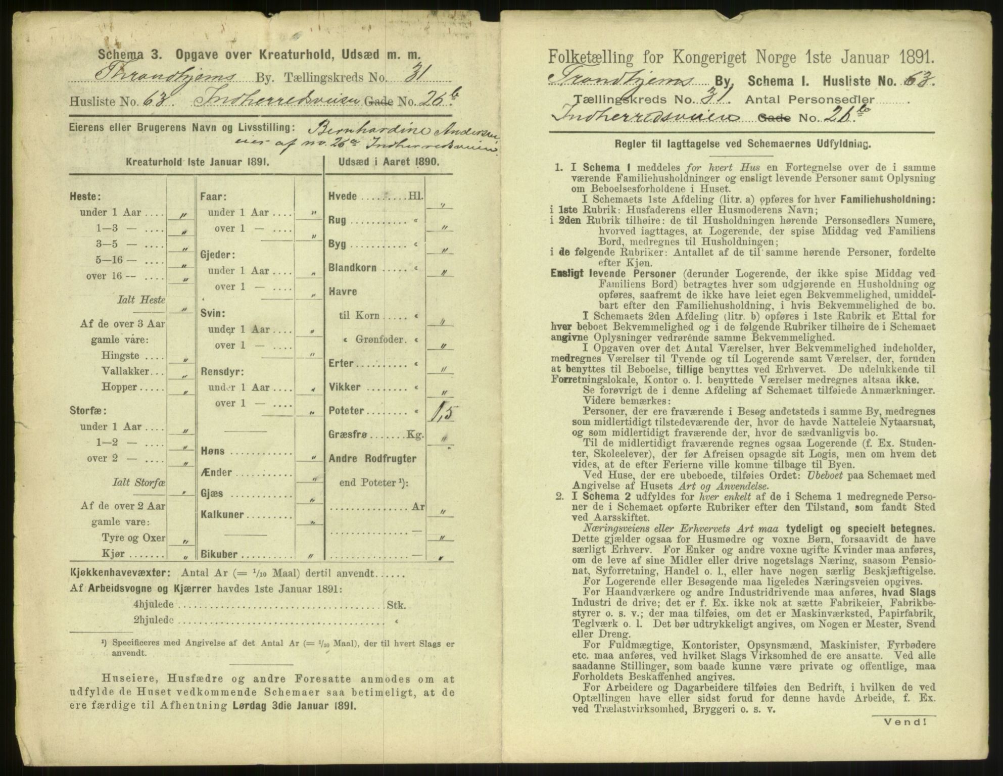 RA, 1891 census for 1601 Trondheim, 1891, p. 2436