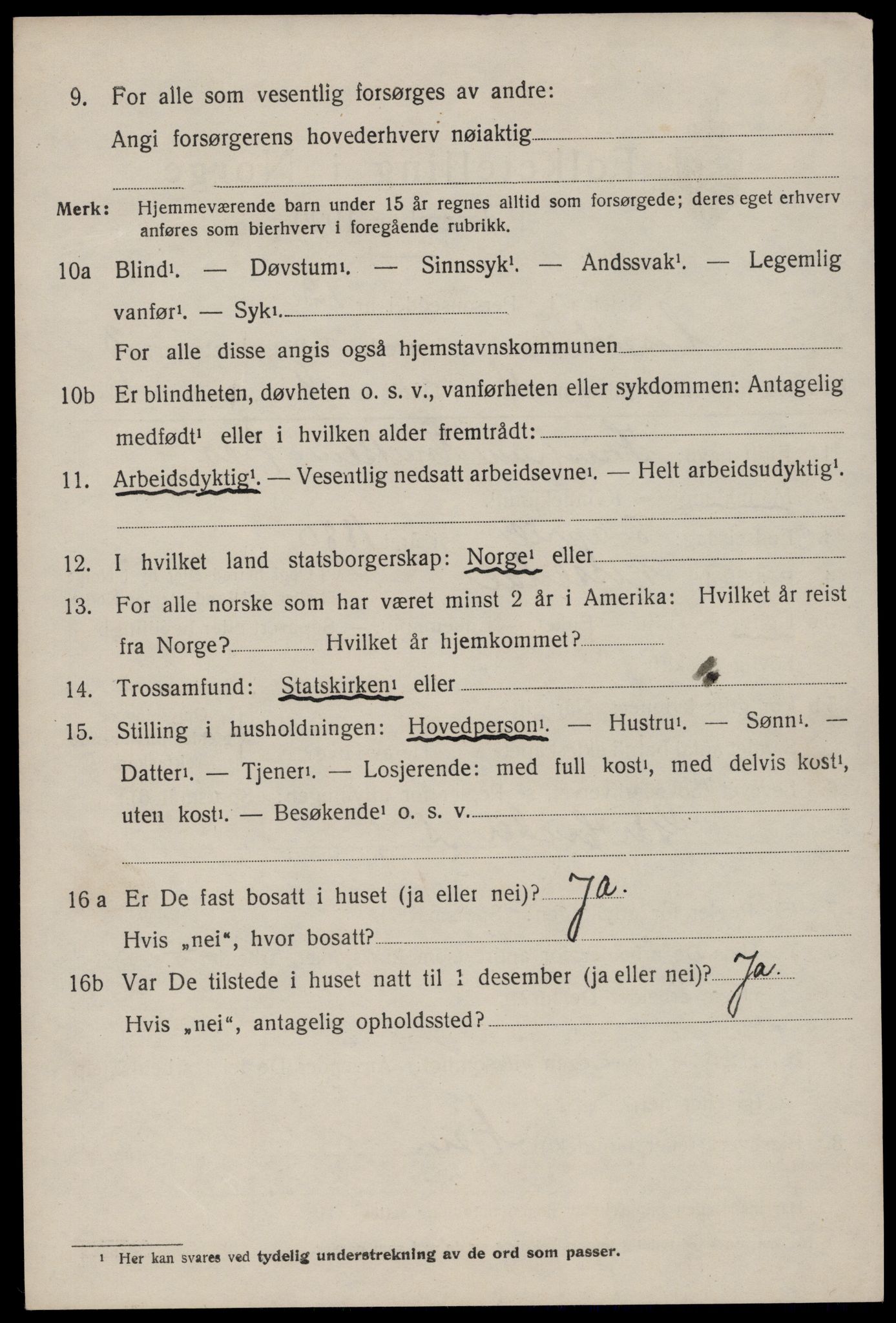SAKO, 1920 census for Nissedal, 1920, p. 1522