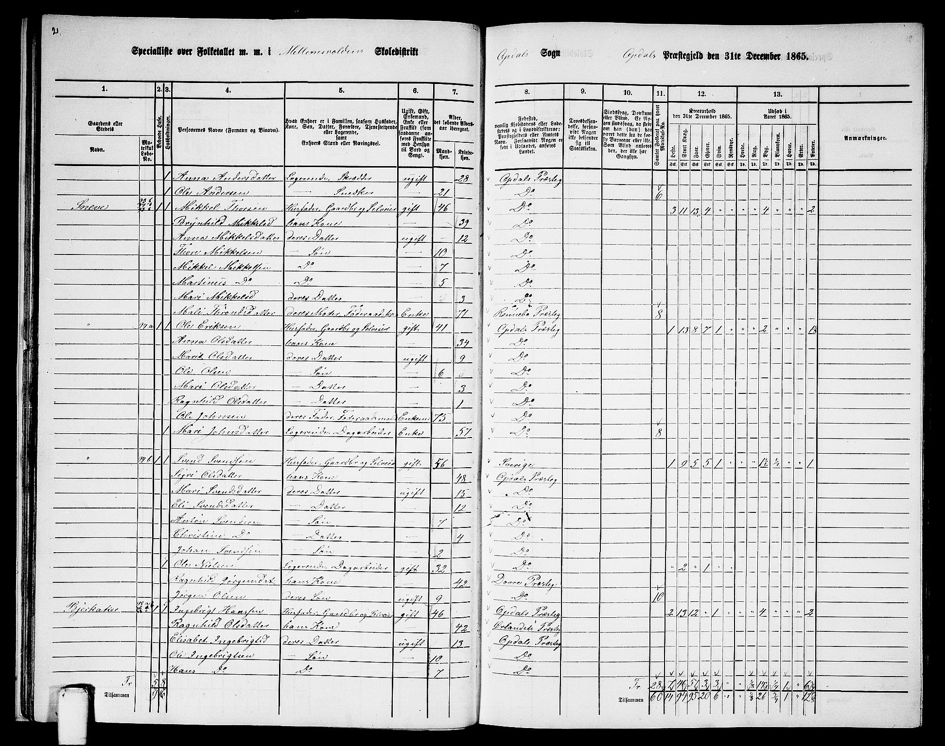 RA, 1865 census for Oppdal, 1865, p. 30