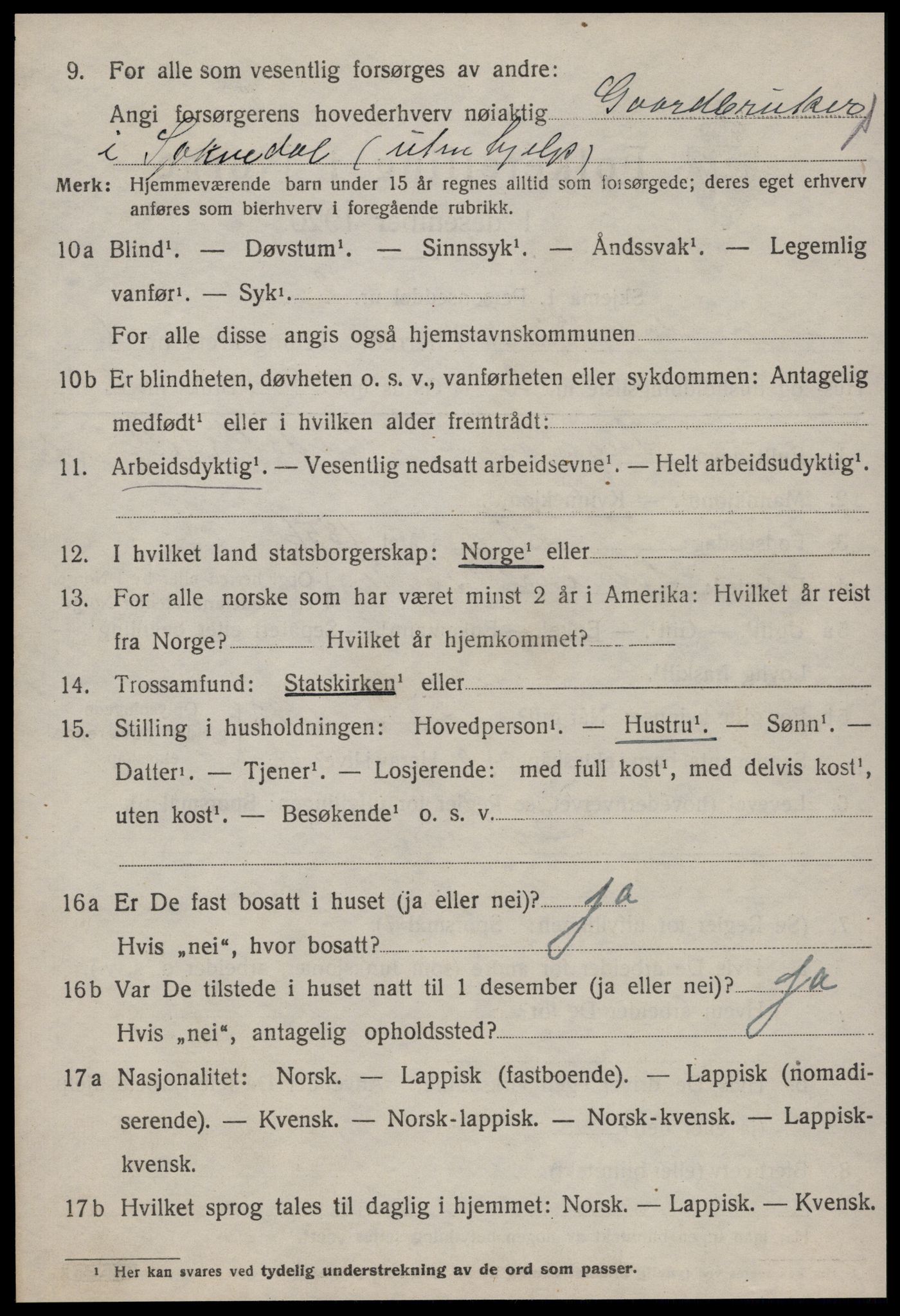 SAT, 1920 census for Soknedal, 1920, p. 3065