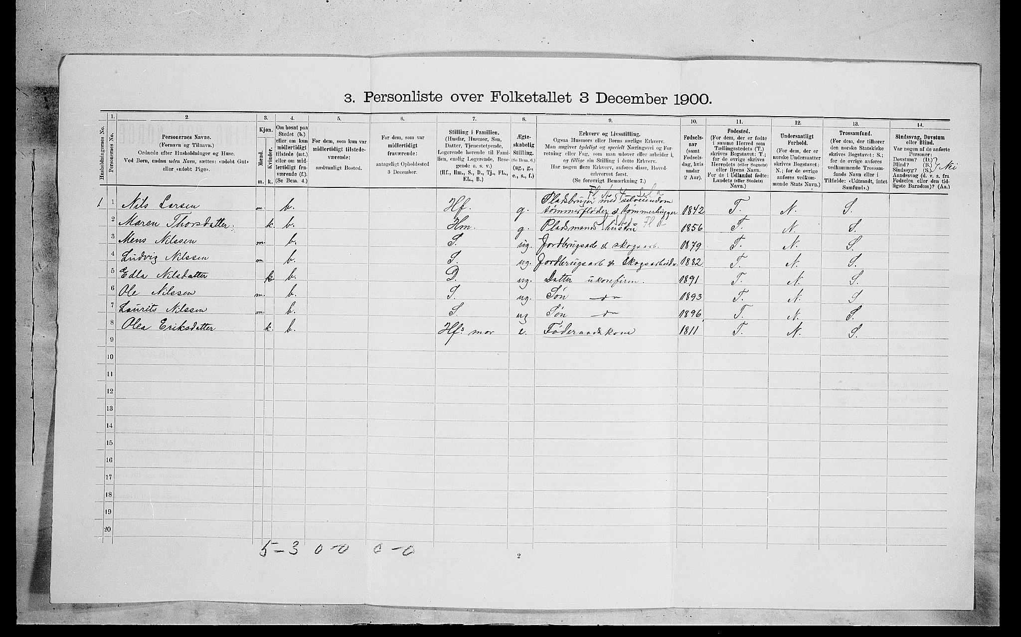 SAH, 1900 census for Eidskog, 1900, p. 304