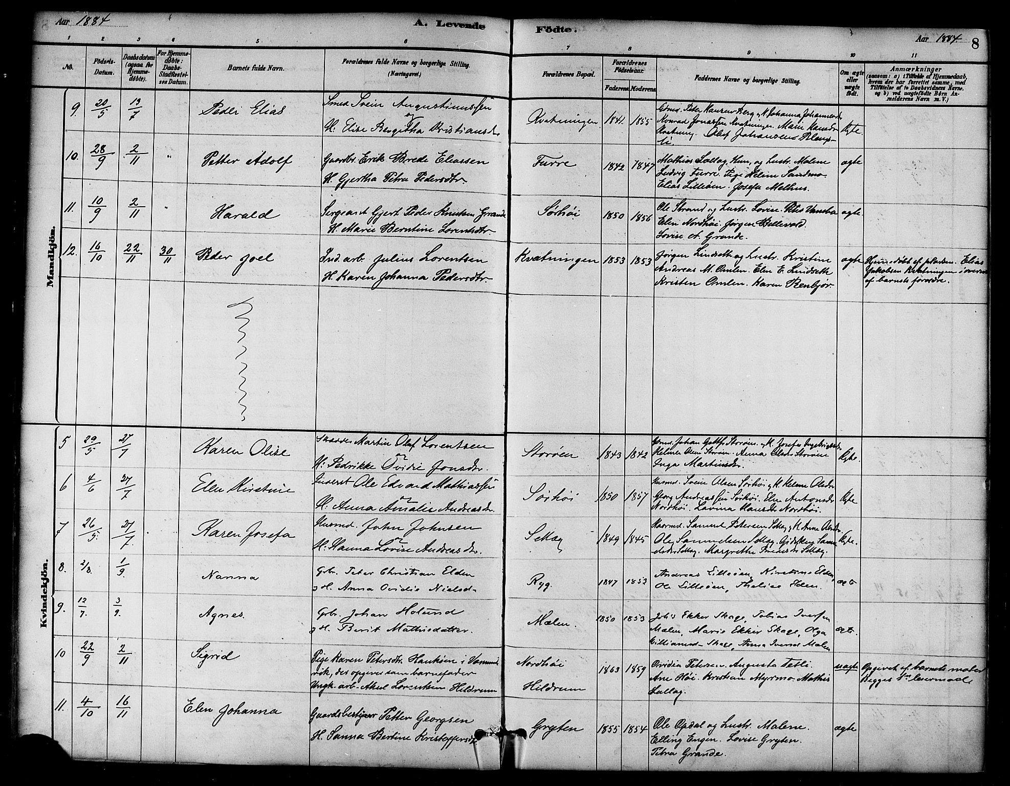 Ministerialprotokoller, klokkerbøker og fødselsregistre - Nord-Trøndelag, AV/SAT-A-1458/766/L0563: Parish register (official) no. 767A01, 1881-1899, p. 8