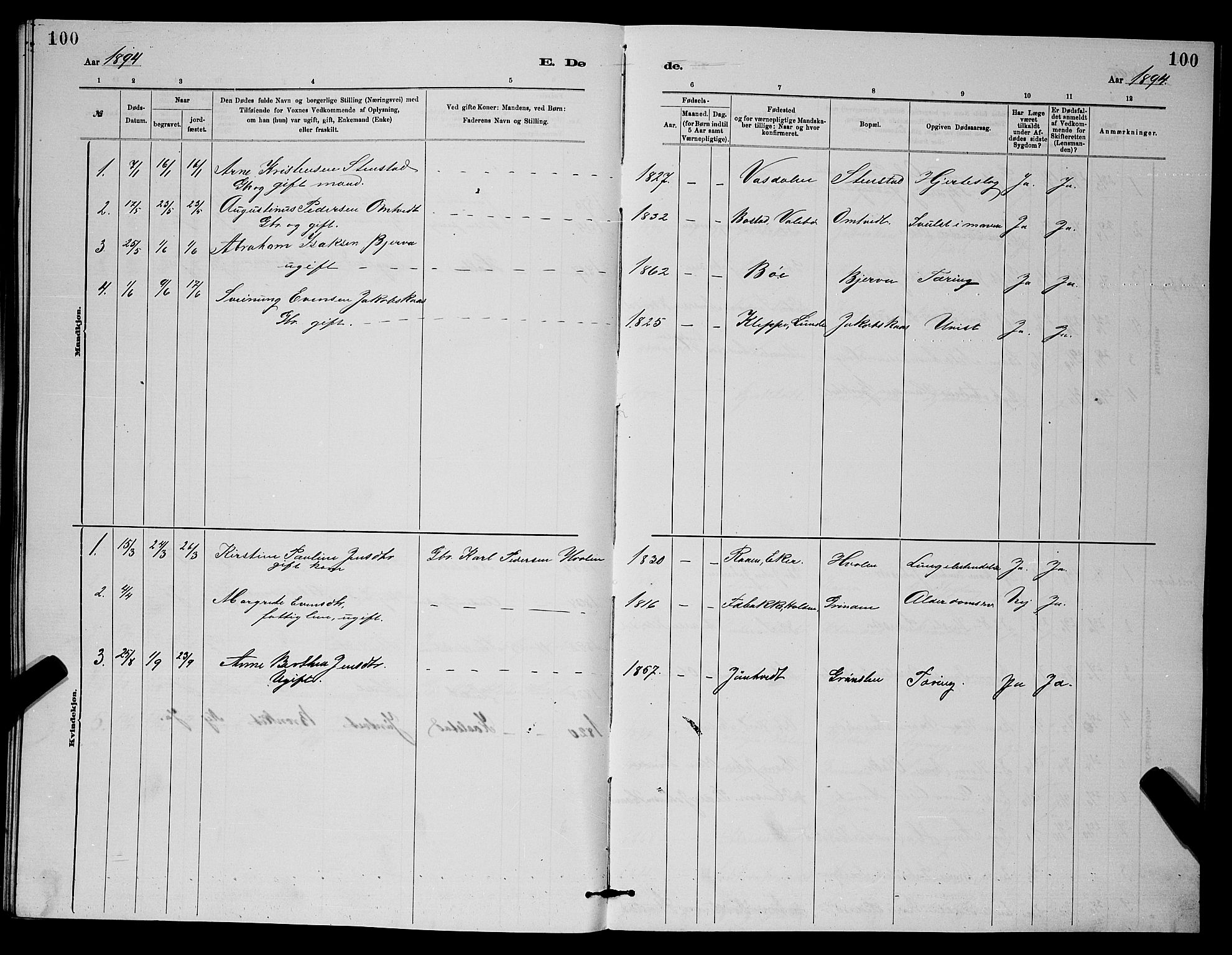 Holla kirkebøker, SAKO/A-272/G/Gb/L0001: Parish register (copy) no. II 1, 1882-1897, p. 100