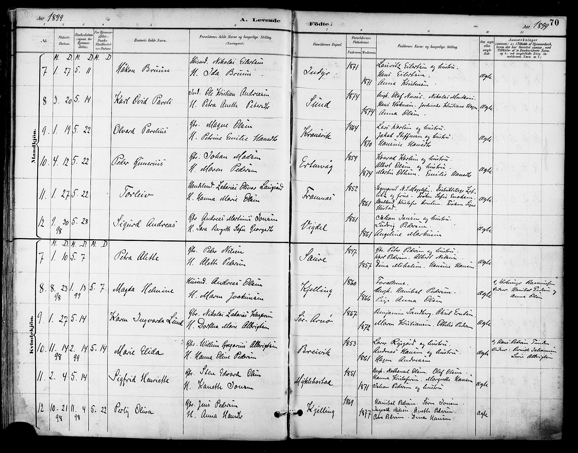 Ministerialprotokoller, klokkerbøker og fødselsregistre - Nordland, SAT/A-1459/805/L0101: Parish register (official) no. 805A07, 1892-1899, p. 70