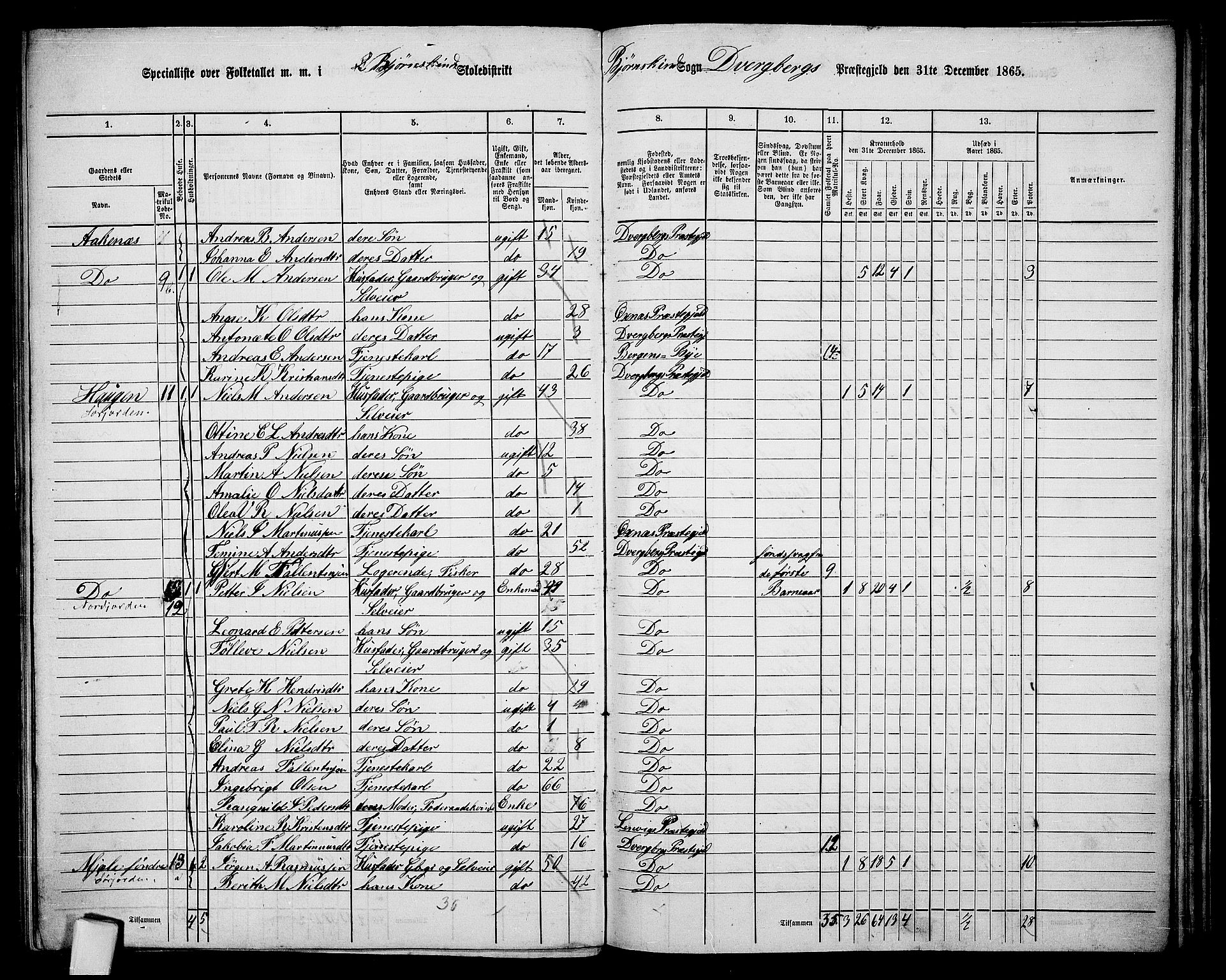 RA, 1865 census for Dverberg, 1865, p. 40