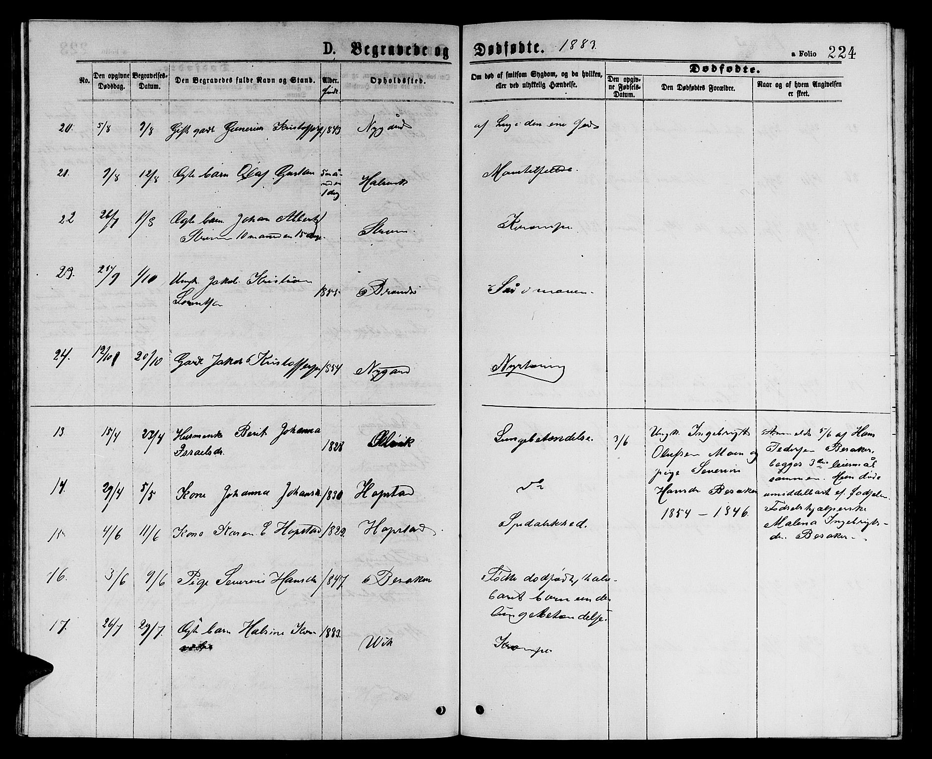 Ministerialprotokoller, klokkerbøker og fødselsregistre - Sør-Trøndelag, AV/SAT-A-1456/657/L0715: Parish register (copy) no. 657C02, 1873-1888, p. 224