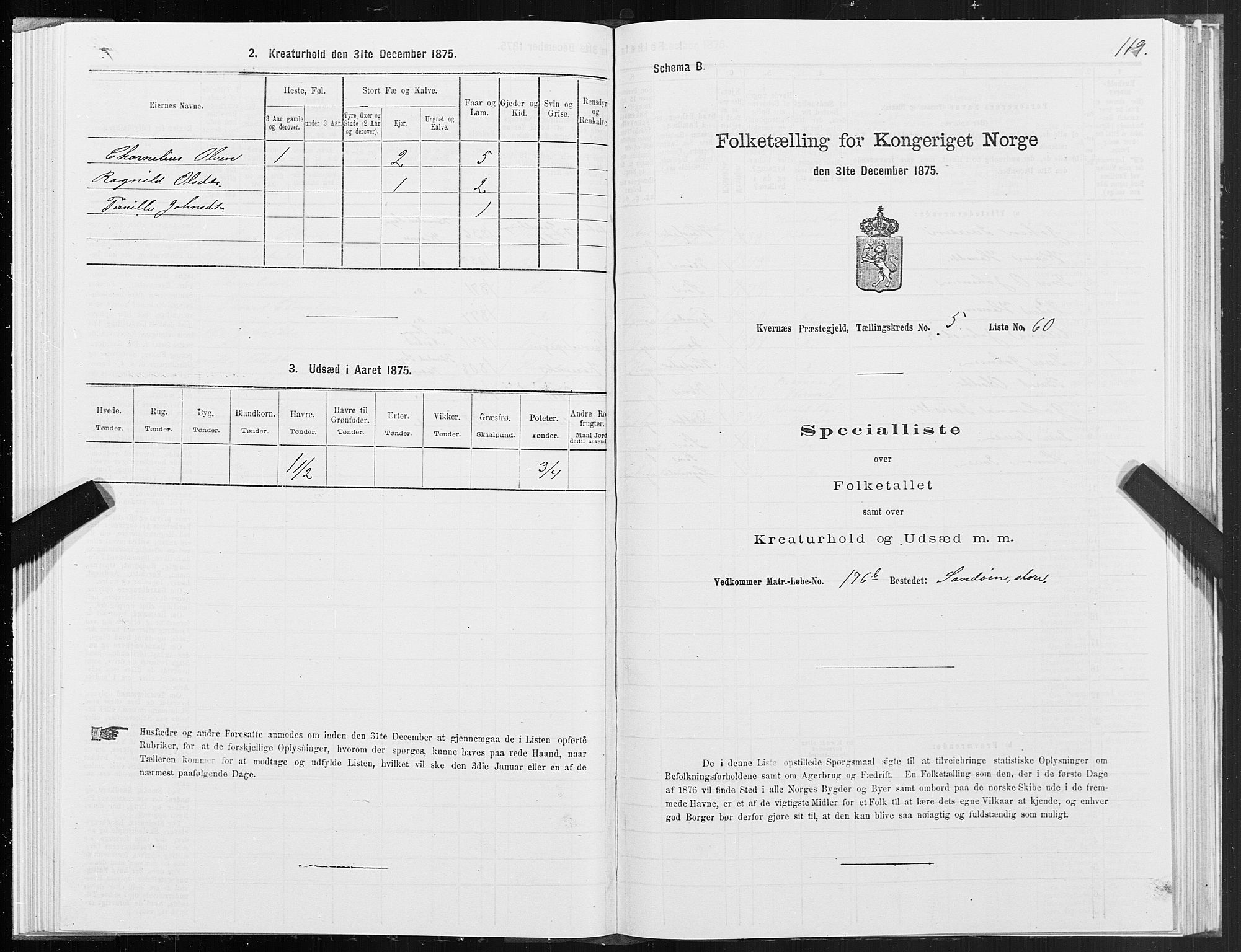 SAT, 1875 census for 1553P Kvernes, 1875, p. 3119