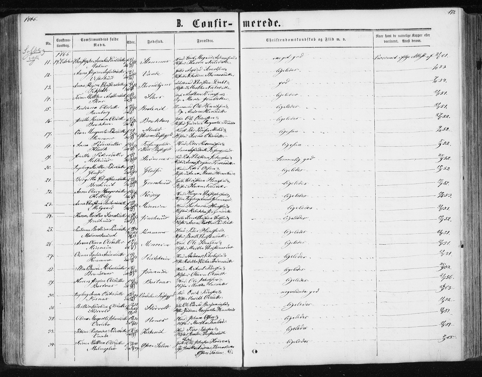 Ministerialprotokoller, klokkerbøker og fødselsregistre - Nord-Trøndelag, AV/SAT-A-1458/741/L0394: Parish register (official) no. 741A08, 1864-1877, p. 172