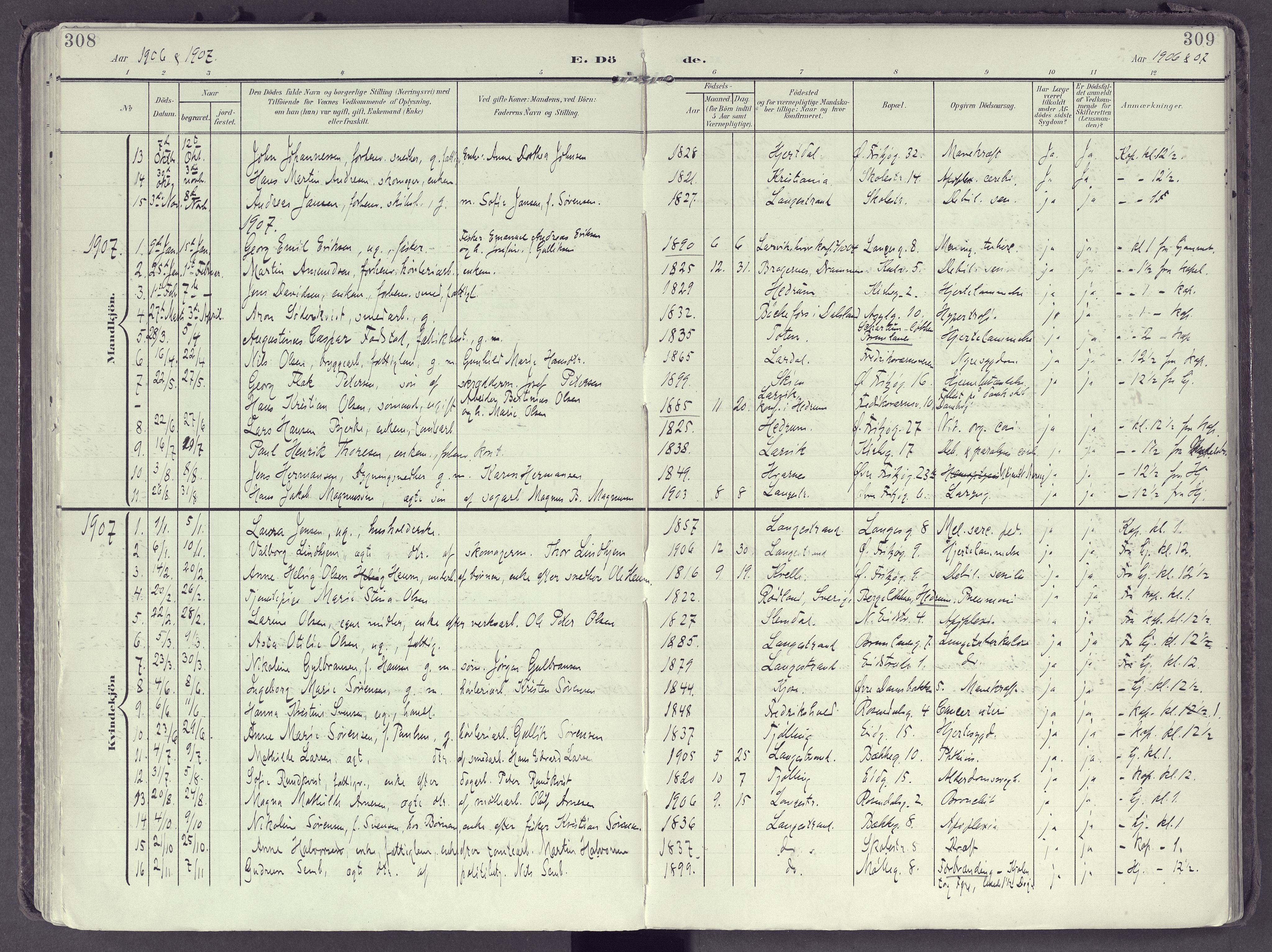 Larvik kirkebøker, SAKO/A-352/F/Fb/L0005: Parish register (official) no. II 5, 1903-1925, p. 308-309