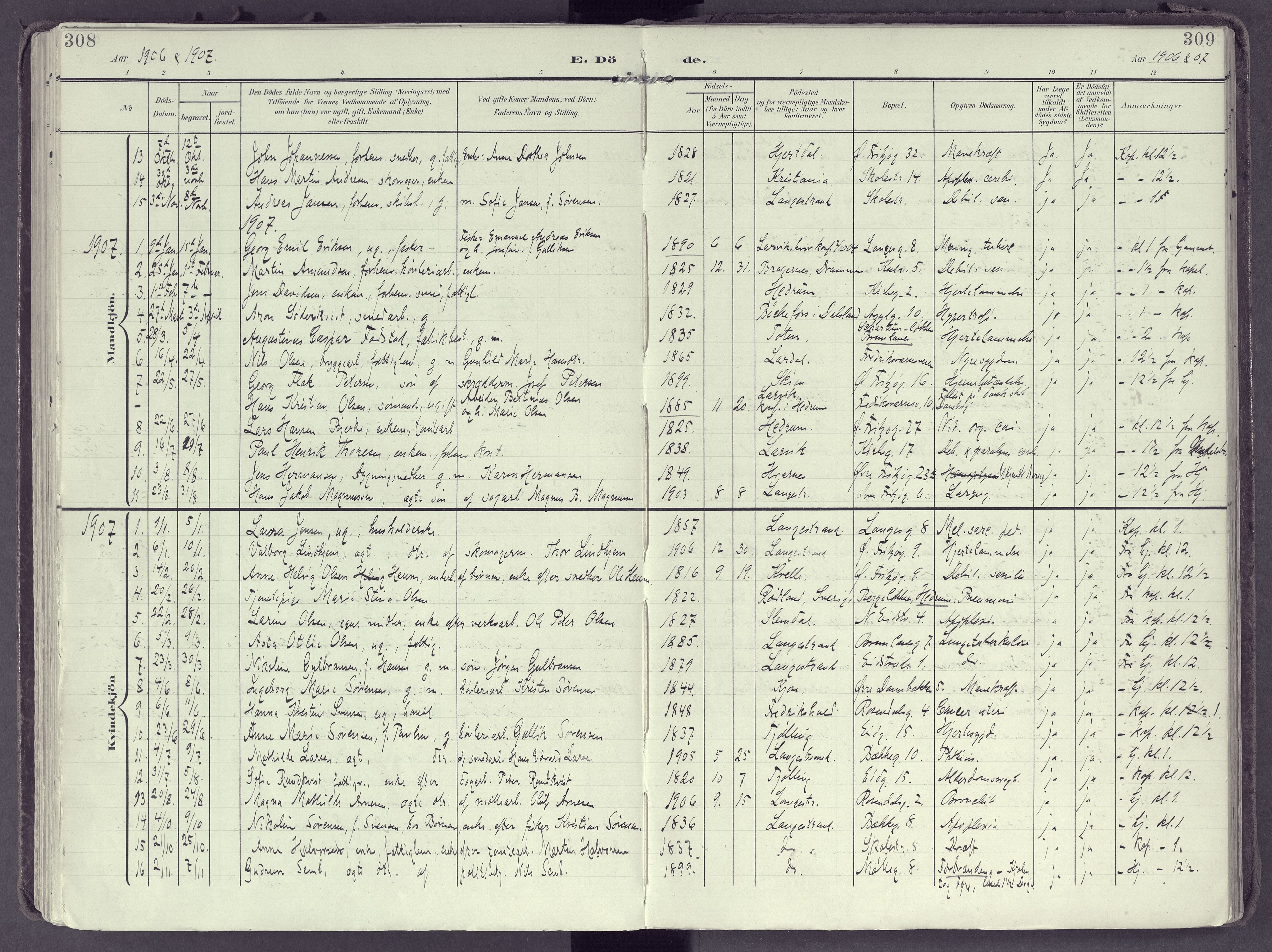 Larvik kirkebøker, AV/SAKO-A-352/F/Fb/L0005: Parish register (official) no. II 5, 1903-1925, p. 308-309