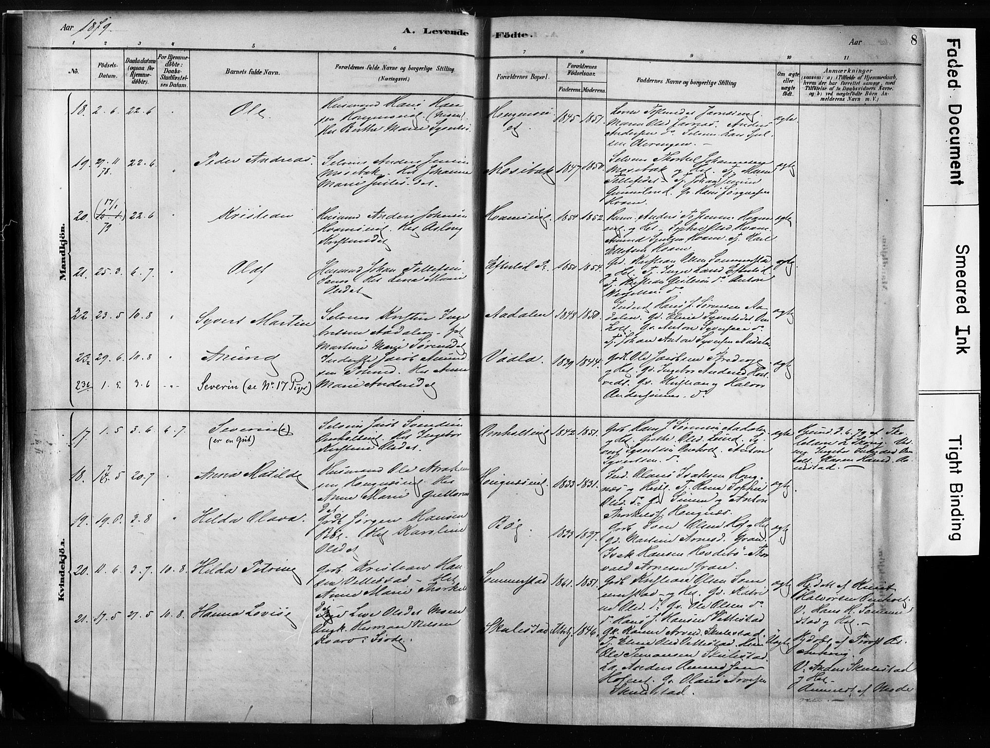 Sandsvær kirkebøker, AV/SAKO-A-244/F/Fb/L0001: Parish register (official) no. II 1, 1878-1906, p. 8