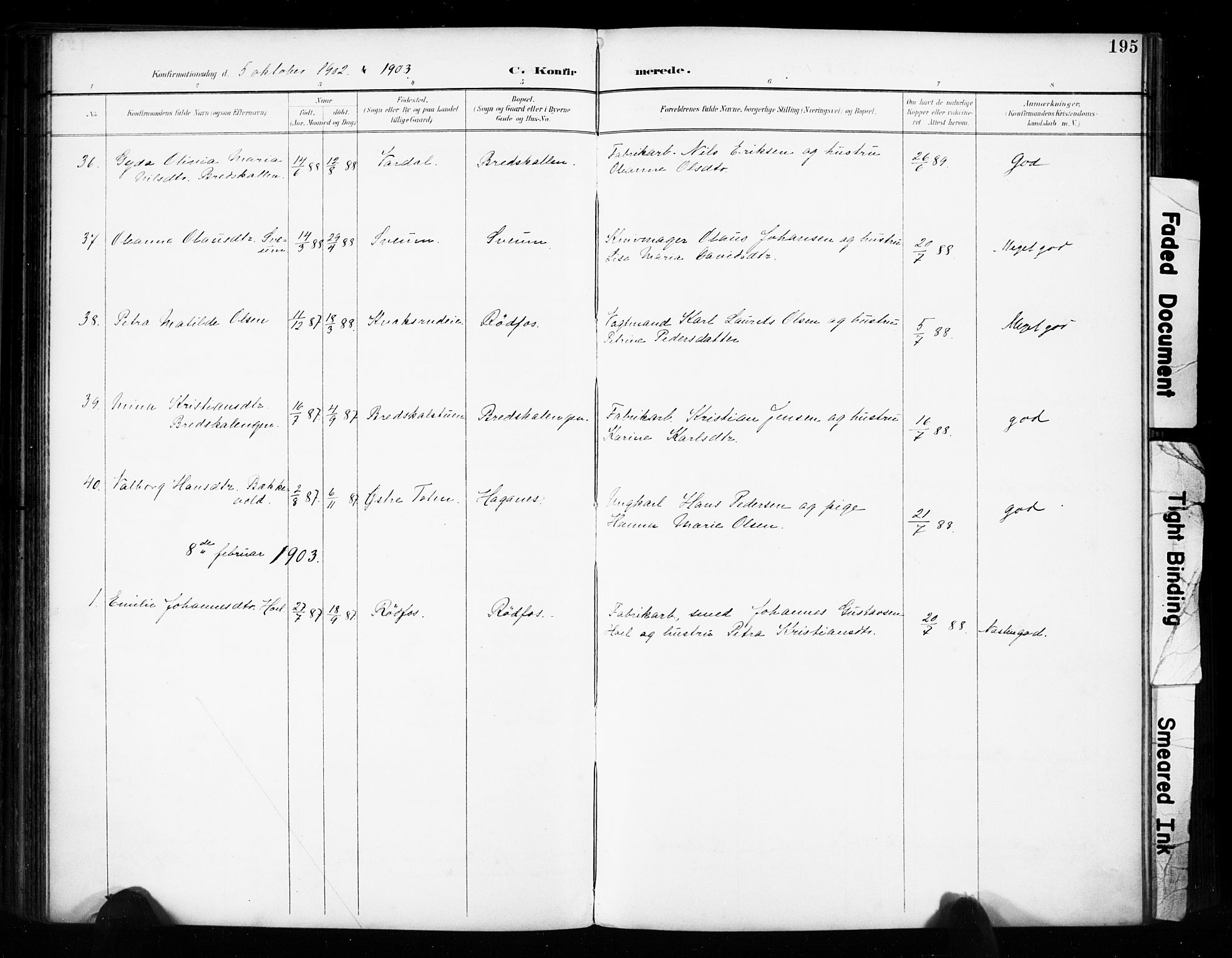 Vestre Toten prestekontor, SAH/PREST-108/H/Ha/Haa/L0011: Parish register (official) no. 11, 1895-1906, p. 195