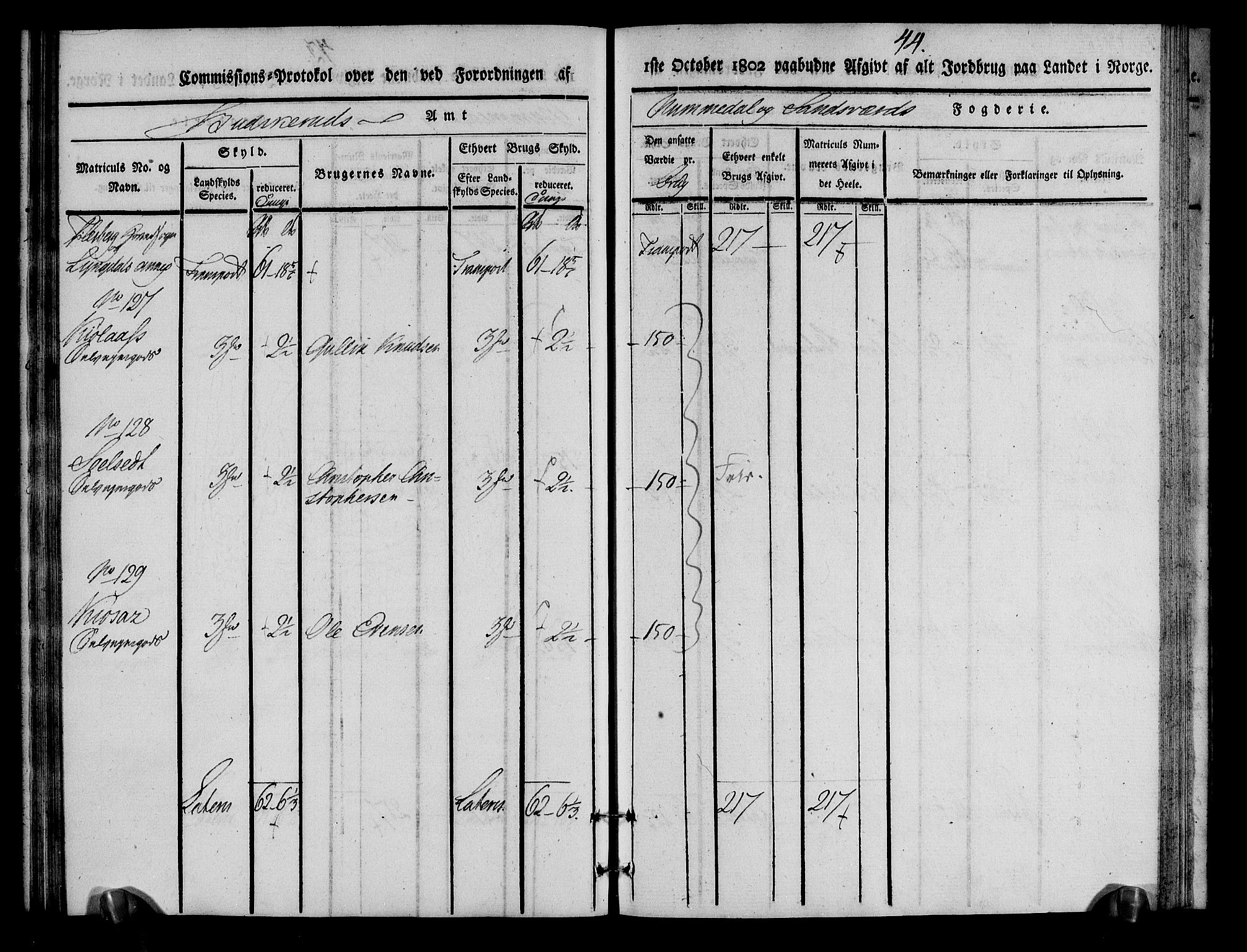 Rentekammeret inntil 1814, Realistisk ordnet avdeling, AV/RA-EA-4070/N/Ne/Nea/L0055: Numedal og Sandsvær fogderi. Kommisjonsprotokoll for Flesberg prestegjeld, 1803, p. 45