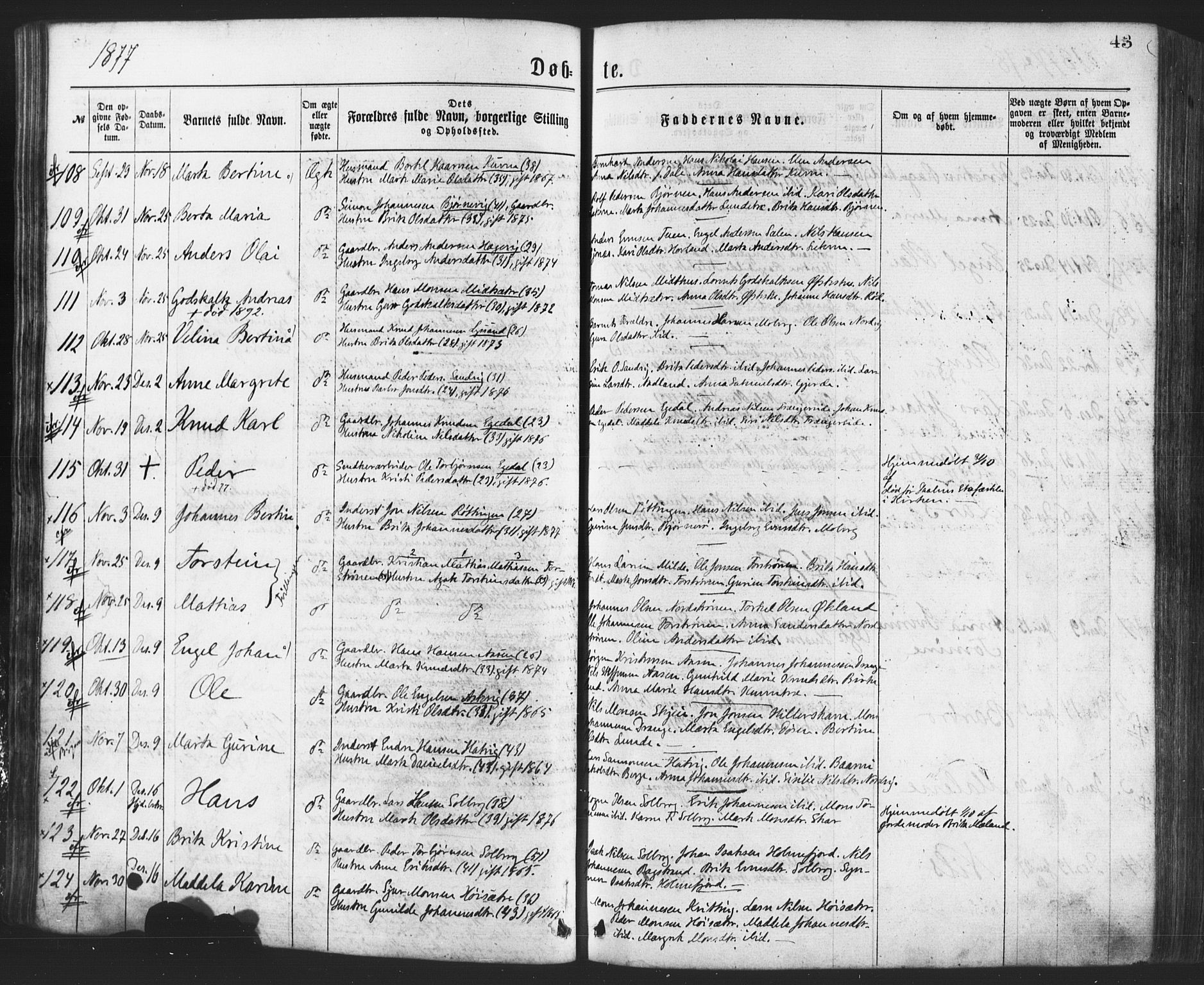 Os sokneprestembete, AV/SAB-A-99929: Parish register (official) no. A 18, 1874-1884, p. 43