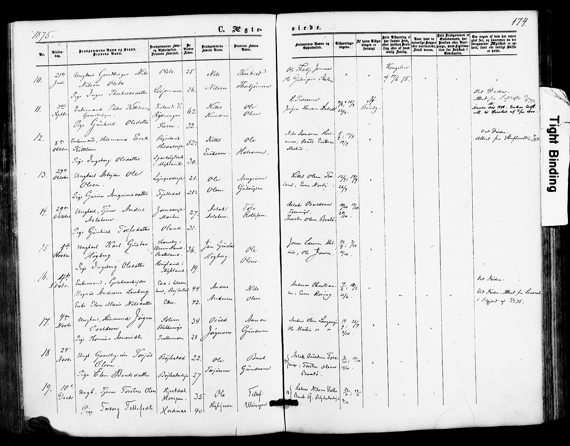 Froland sokneprestkontor, AV/SAK-1111-0013/F/Fa/L0003: Parish register (official) no. A 3, 1864-1881, p. 174