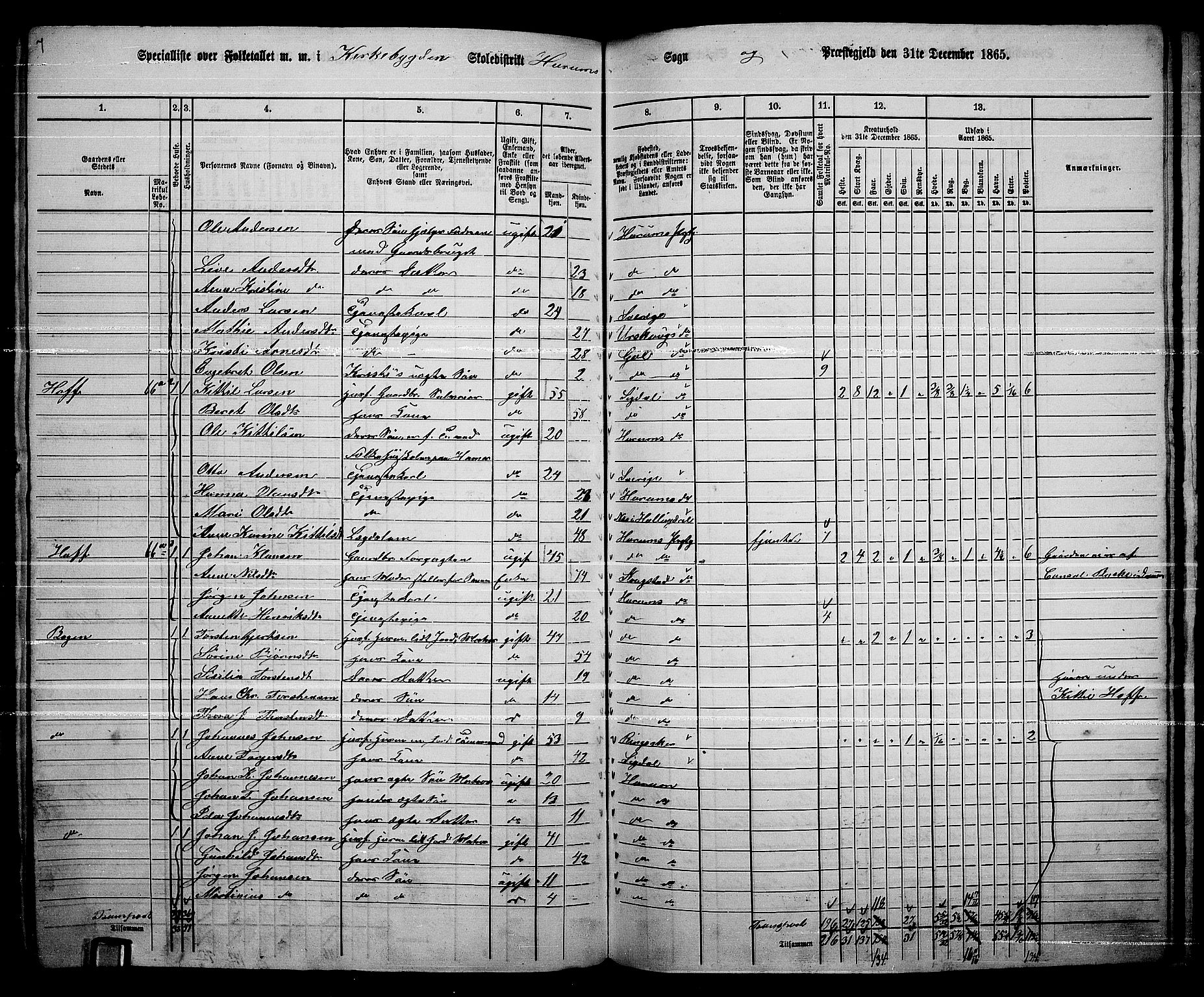 RA, 1865 census for Hurum, 1865, p. 12