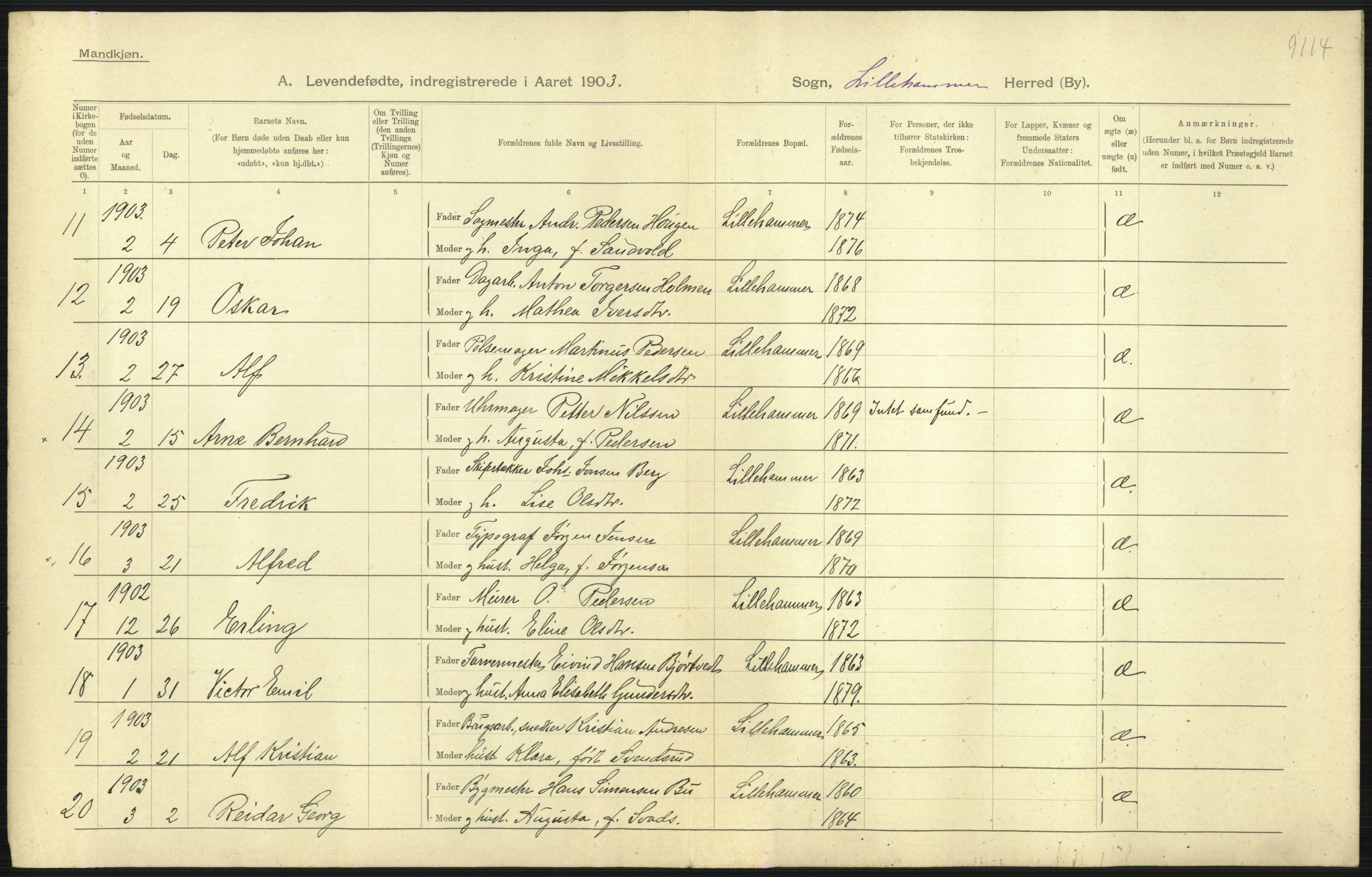 Statistisk sentralbyrå, Sosiodemografiske emner, Befolkning, AV/RA-S-2228/D/Df/Dfa/Dfaa/L0006: Kristians amt: Fødte, gifte, døde, 1903, p. 407