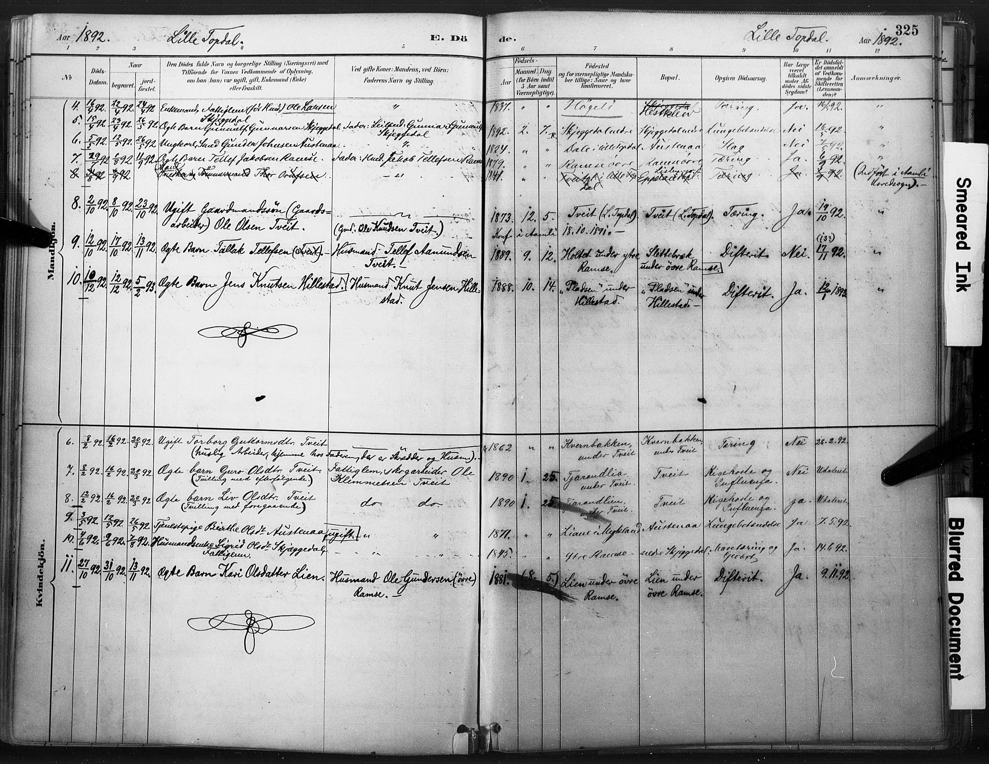 Åmli sokneprestkontor, AV/SAK-1111-0050/F/Fa/Fac/L0010: Parish register (official) no. A 10 /3, 1885-1899, p. 325