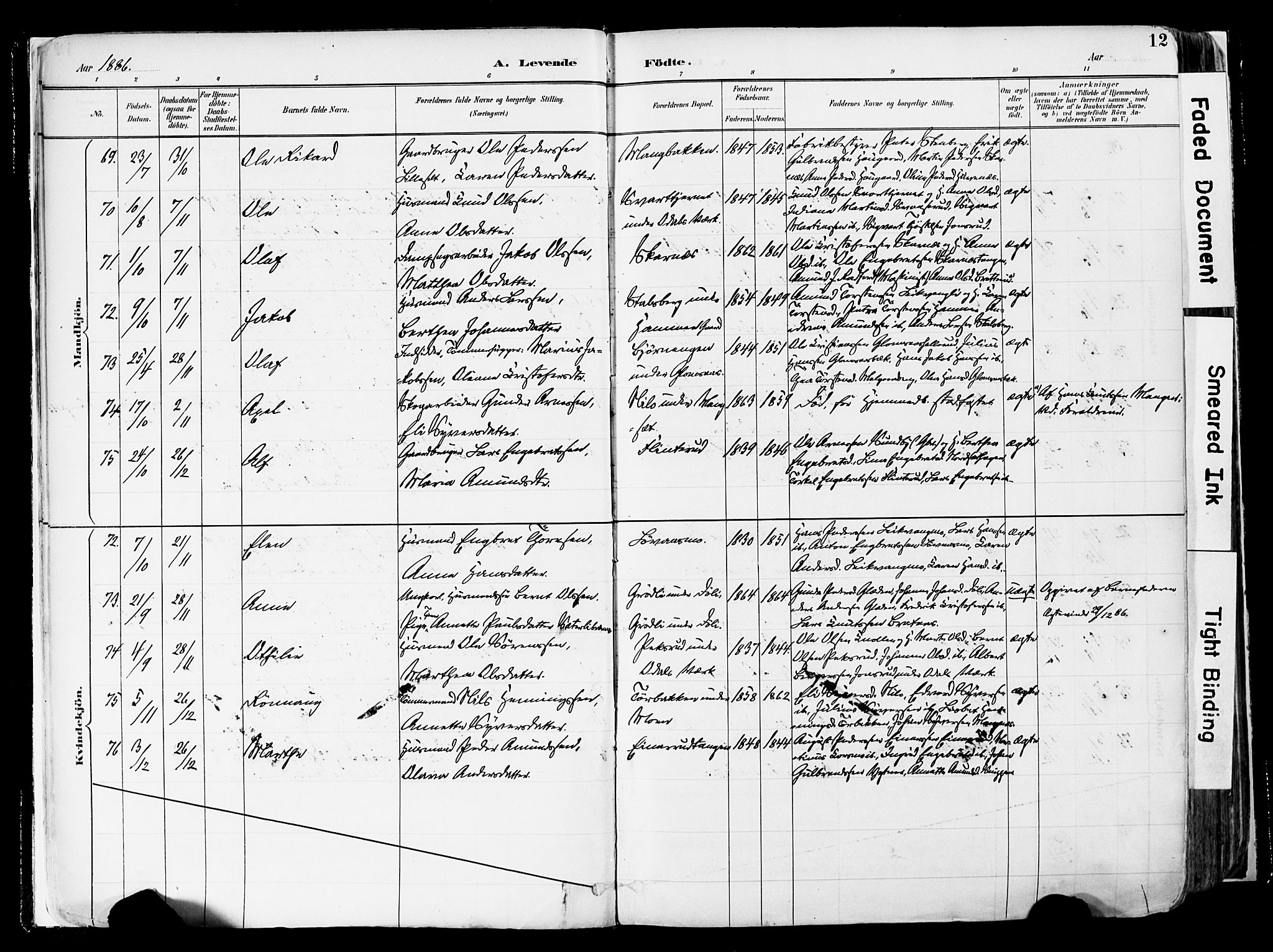 Sør-Odal prestekontor, AV/SAH-PREST-030/H/Ha/Haa/L0006: Parish register (official) no. 6, 1886-1931, p. 12