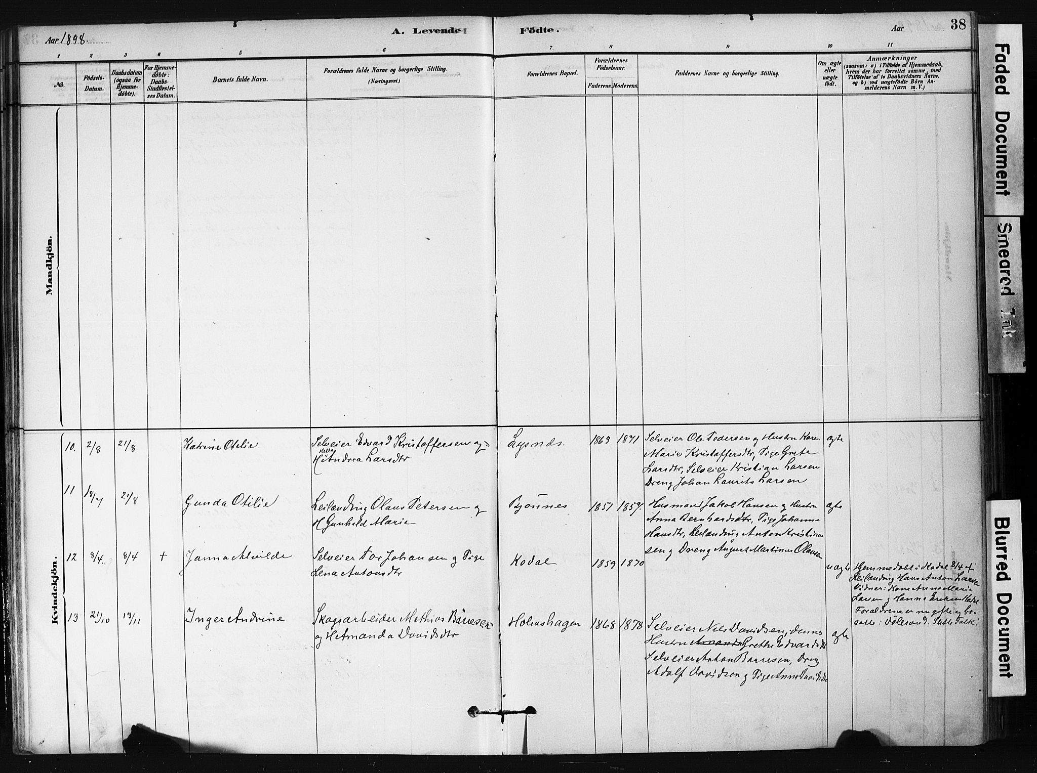 Hedrum kirkebøker, AV/SAKO-A-344/F/Fb/L0001: Parish register (official) no. II 1, 1881-1905, p. 38