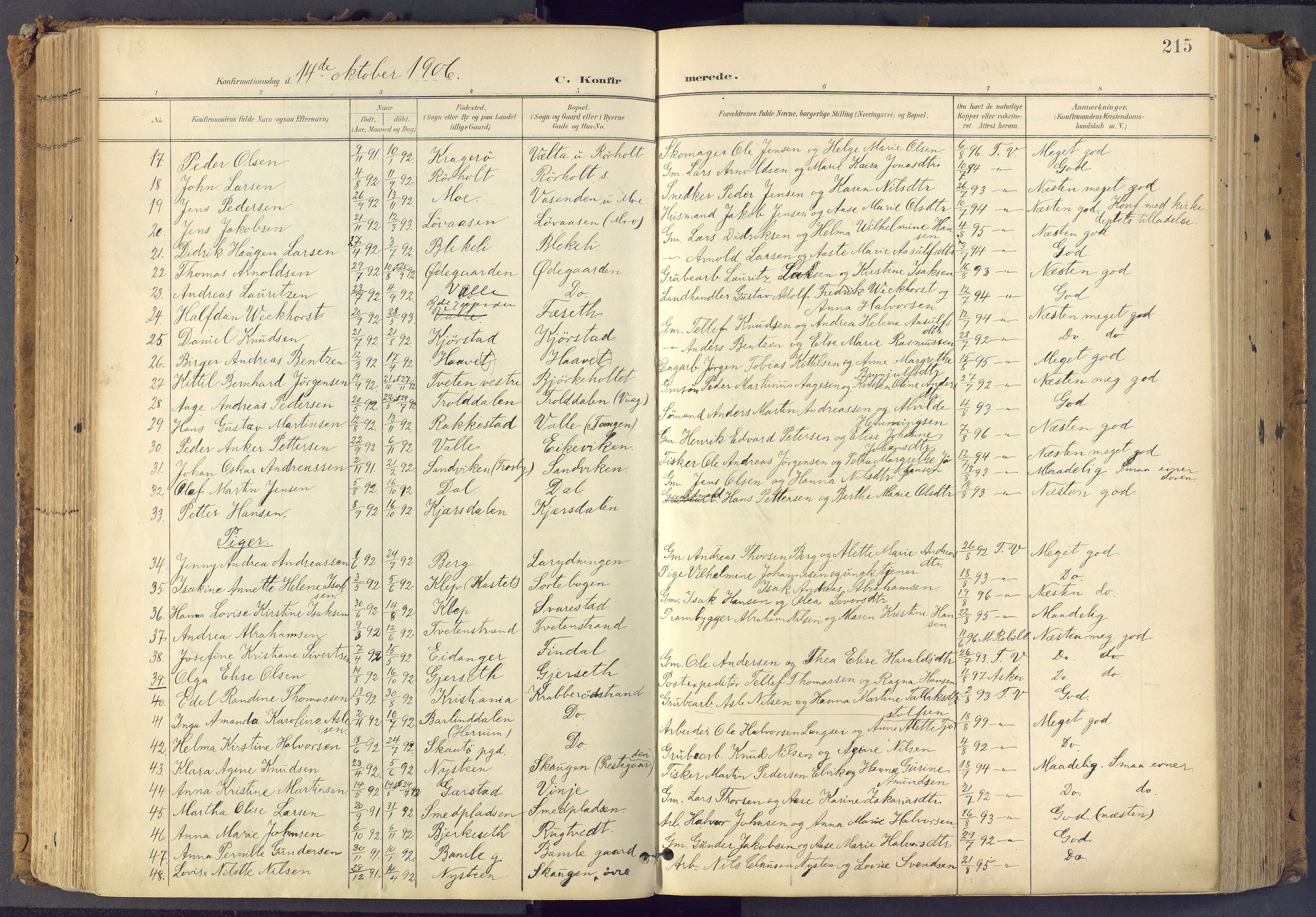 Bamble kirkebøker, SAKO/A-253/F/Fa/L0009: Parish register (official) no. I 9, 1901-1917, p. 215
