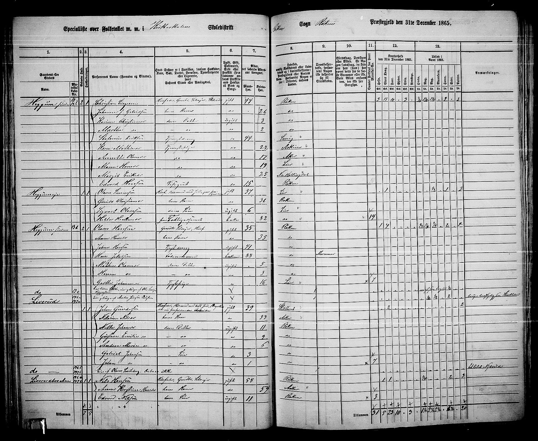 RA, 1865 census for Røyken, 1865, p. 41