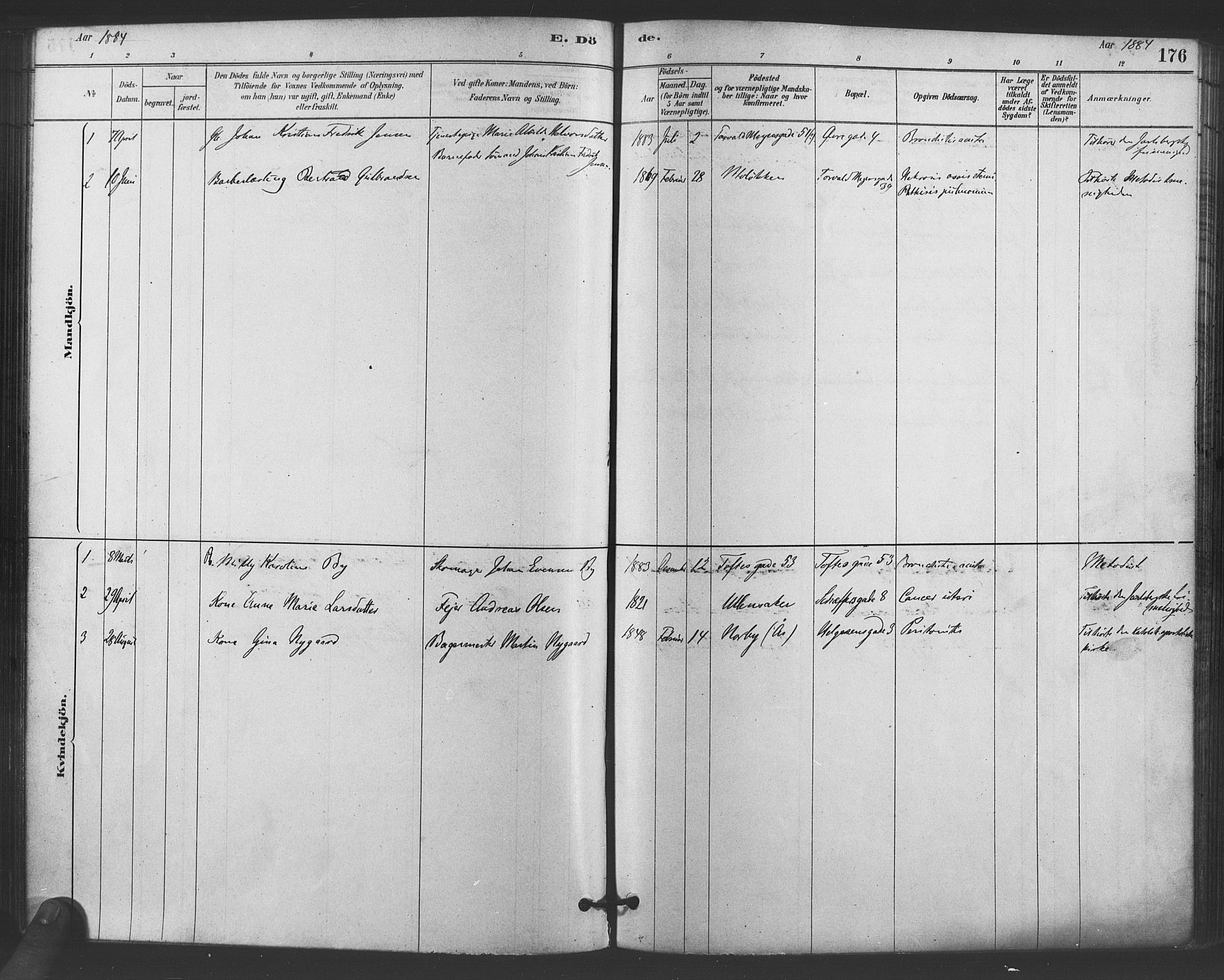 Paulus prestekontor Kirkebøker, SAO/A-10871/F/Fa/L0005: Parish register (official) no. 5, 1879-1889, p. 176