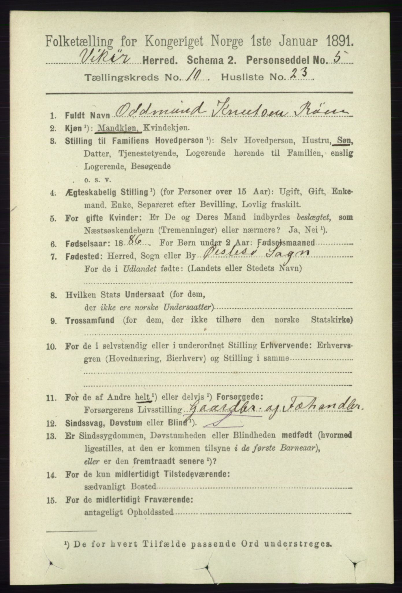 RA, 1891 census for 1238 Vikør, 1891, p. 3067