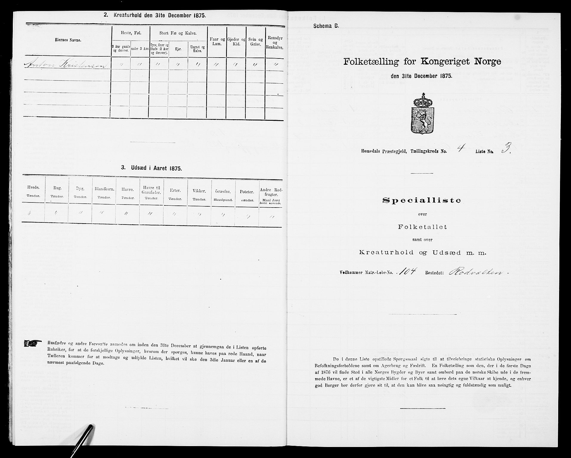 SAK, 1875 census for 0924P Homedal, 1875, p. 805