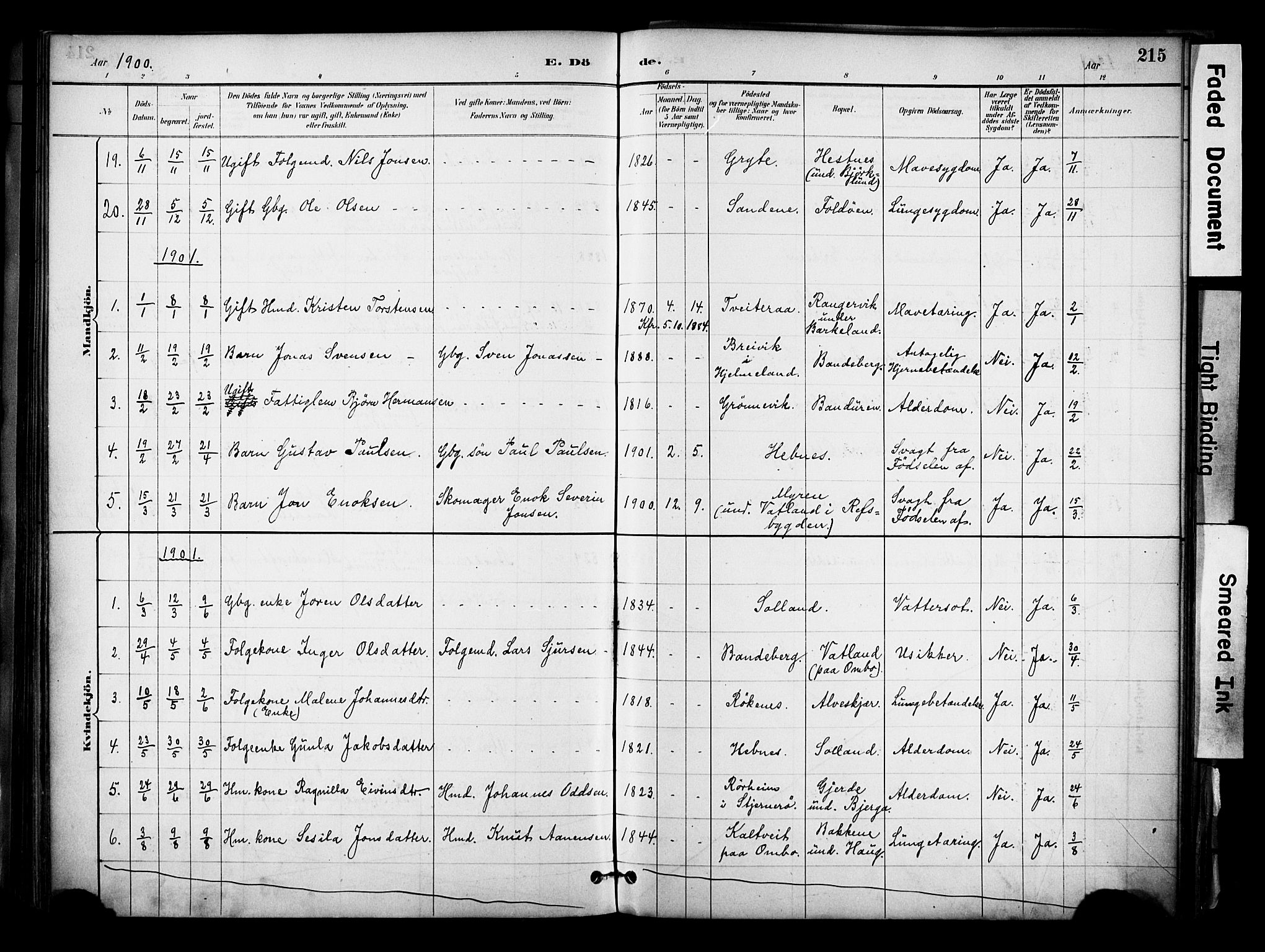 Jelsa sokneprestkontor, SAST/A-101842/01/IV: Parish register (official) no. A 10, 1884-1906, p. 215