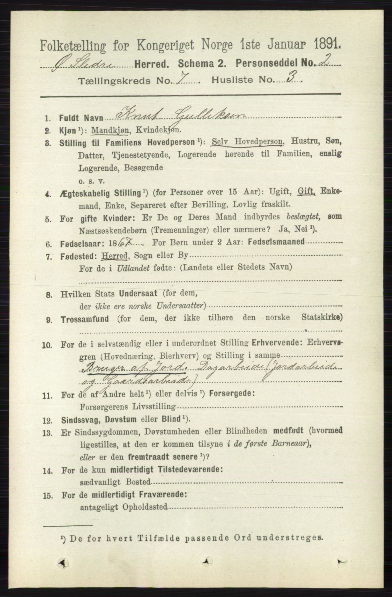 RA, 1891 census for 0544 Øystre Slidre, 1891, p. 2181