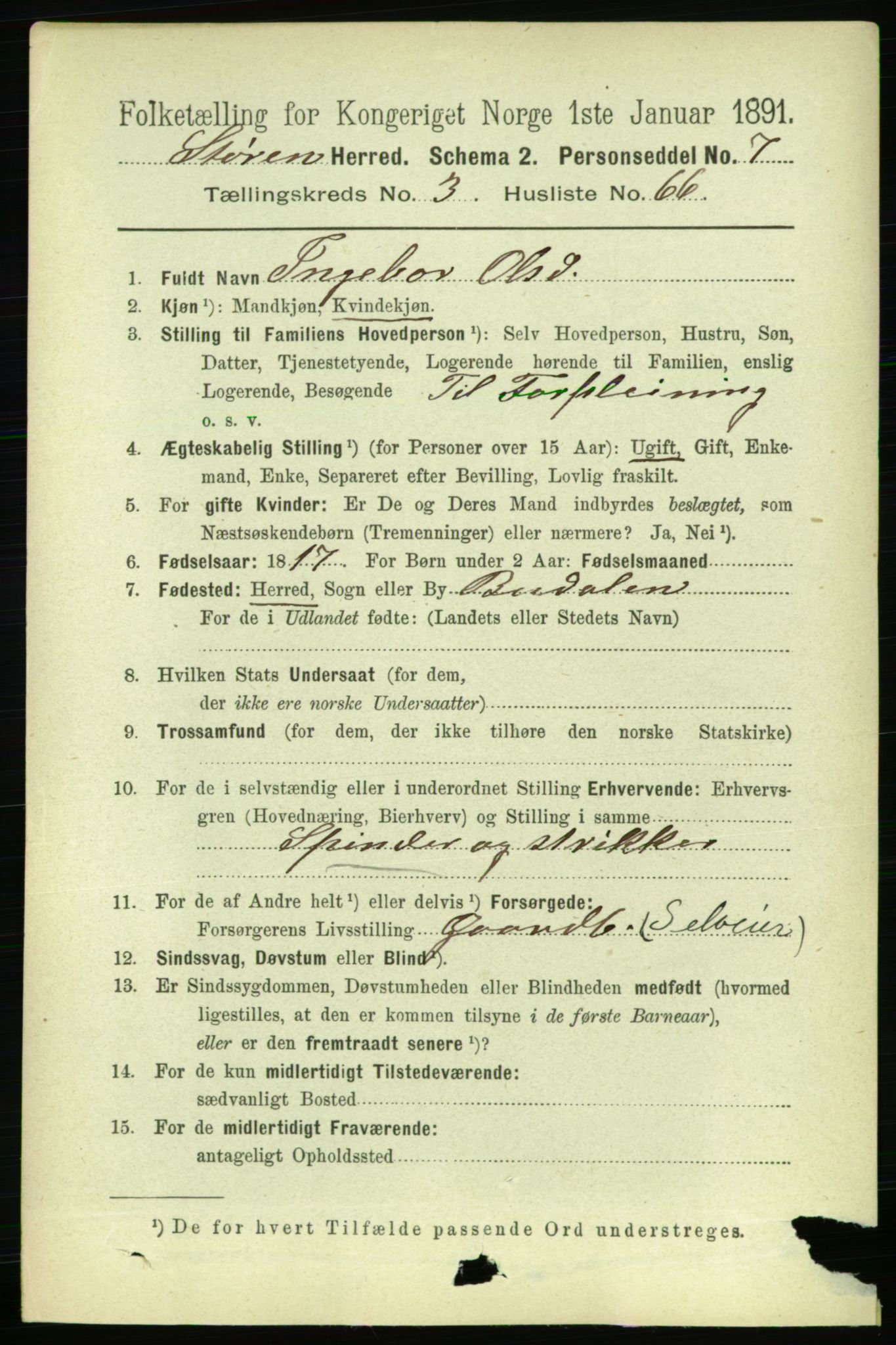 RA, 1891 census for 1648 Støren, 1891, p. 1201