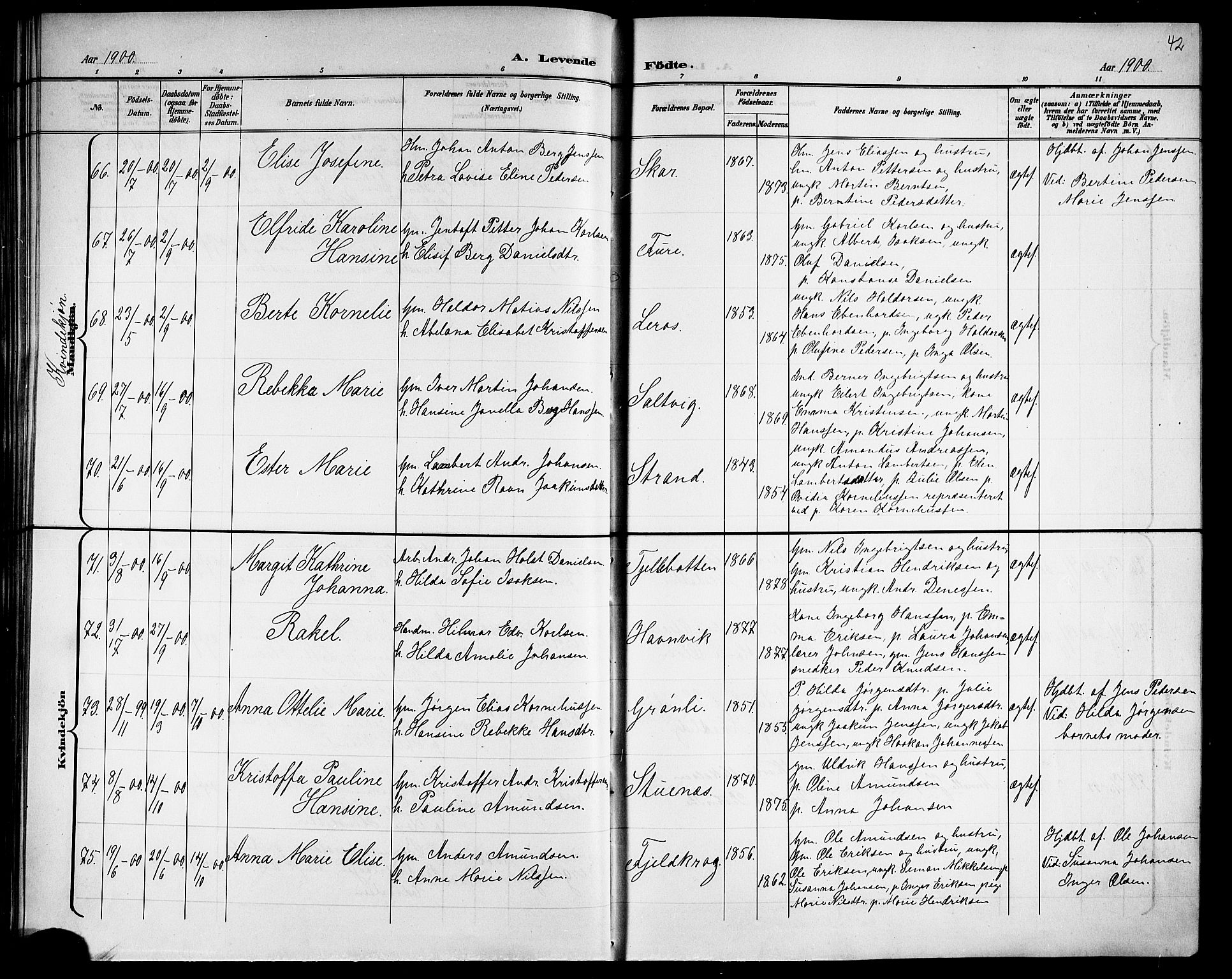 Ministerialprotokoller, klokkerbøker og fødselsregistre - Nordland, AV/SAT-A-1459/863/L0915: Parish register (copy) no. 863C05, 1898-1907, p. 42