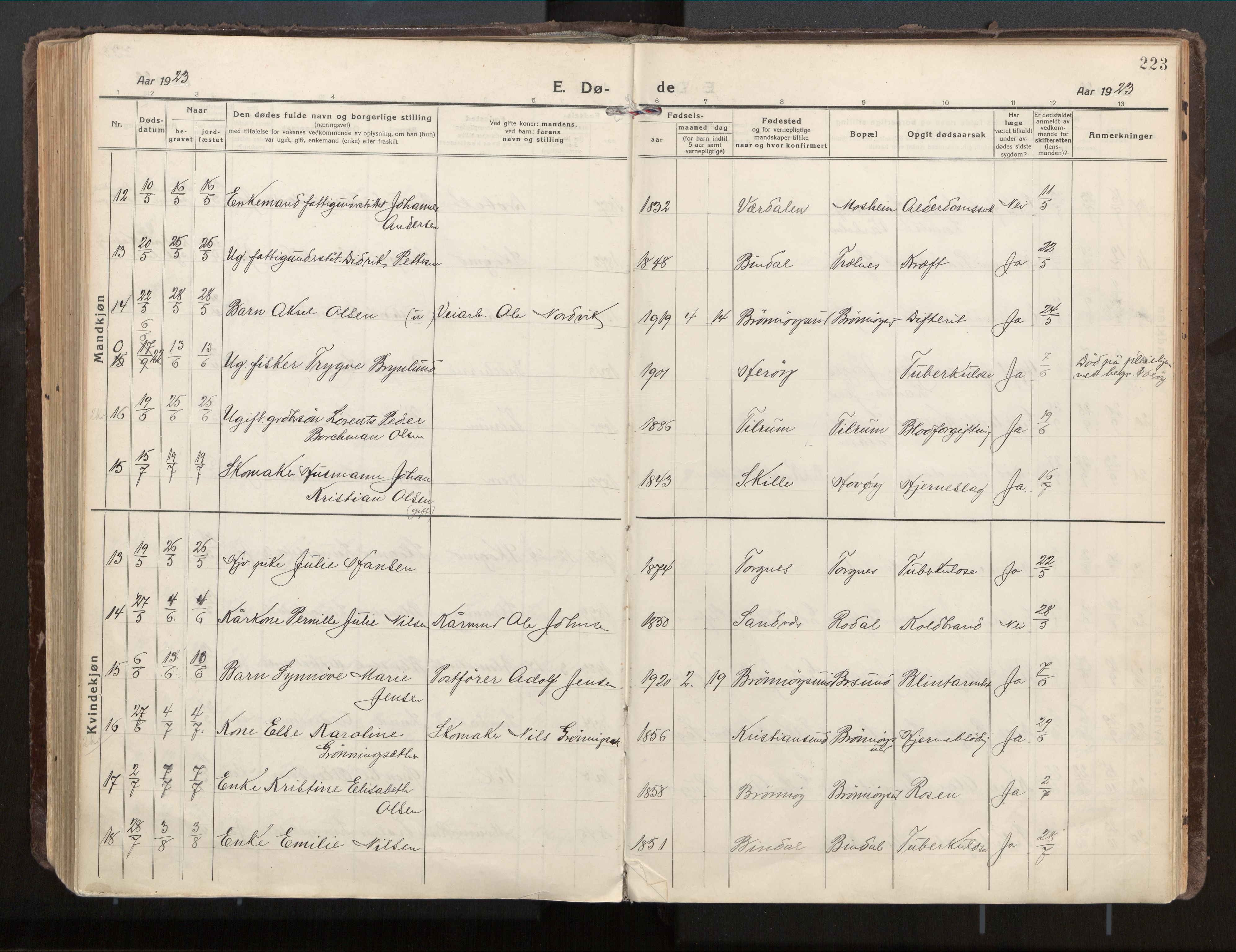 Ministerialprotokoller, klokkerbøker og fødselsregistre - Nordland, SAT/A-1459/813/L0207a: Parish register (official) no. 813A18, 1919-1927, p. 223