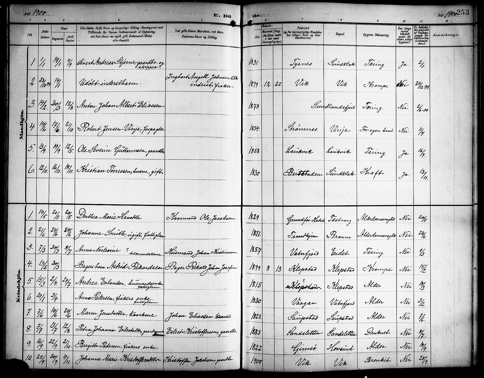 Ministerialprotokoller, klokkerbøker og fødselsregistre - Nordland, AV/SAT-A-1459/876/L1105: Parish register (copy) no. 876C04, 1896-1914, p. 253